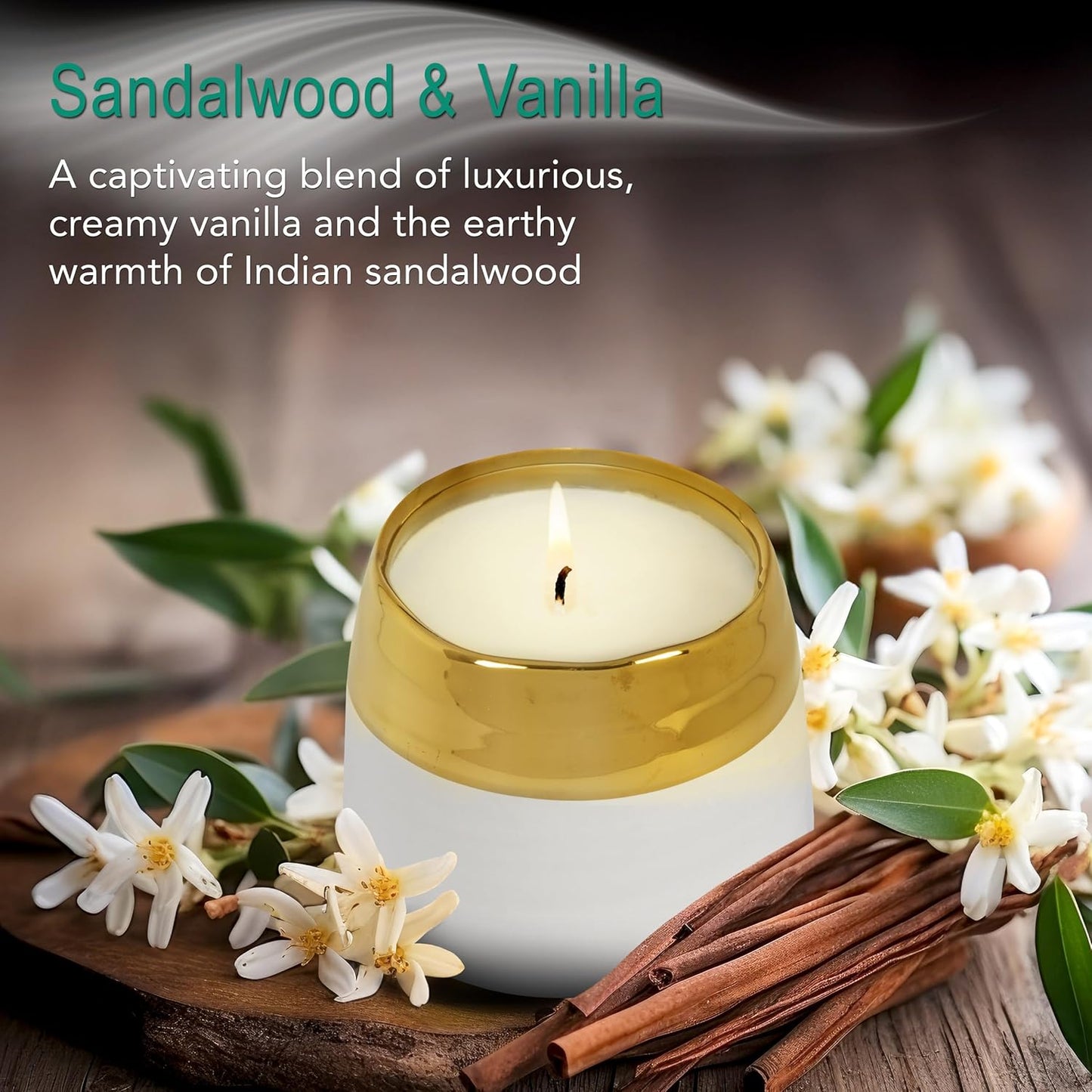 The Growing Candle, Sandalwood & Vanilla Scented, 10oz Ceramic Pot, Aromatherapy Candles for Home, 100% Soy, Clara