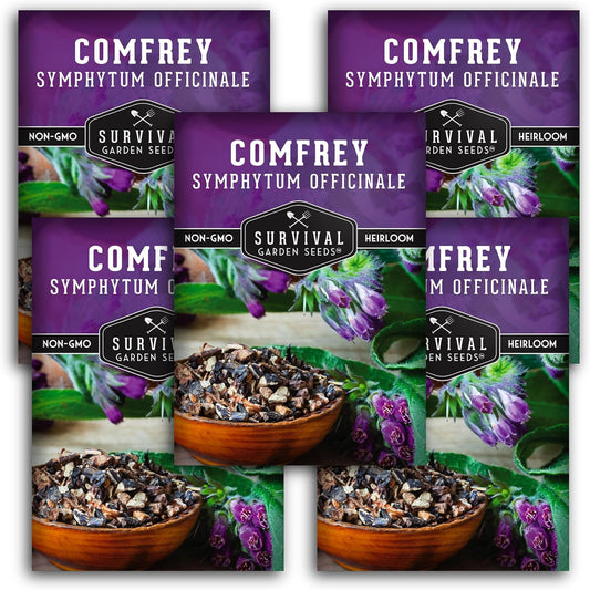 Survival Garden Seeds Comfrey Seed for Planting - 5 Packets with Instructions to Plant and Grow Slippery Root Plants in Your Home Herb Garden - Symphytum officinale - Non-GMO Heirloom Seed Variety