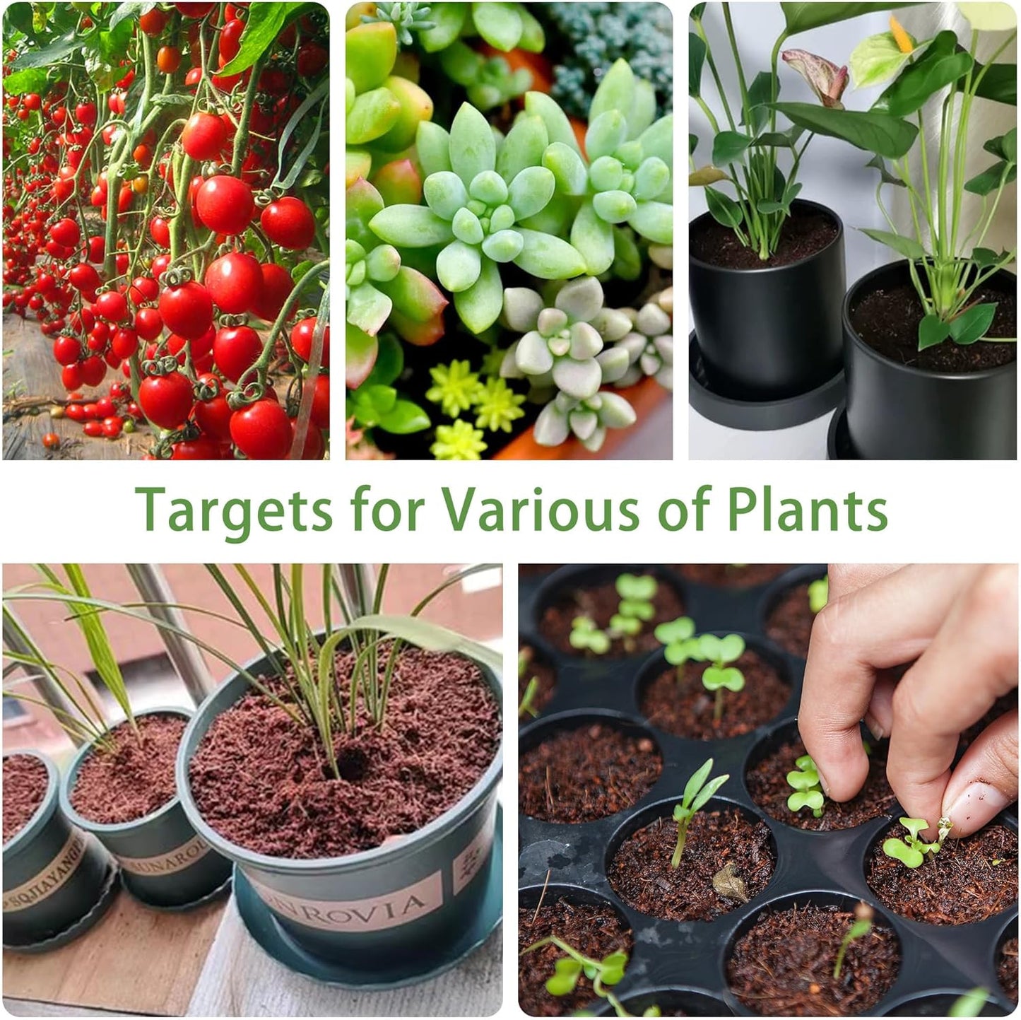 Coco Coir Brick for Organic Coconut Soil - 2 Pack With Low EC & PH Balance - High Expansion Fiber for Herbs & Flowers - Renewable Planting Medium