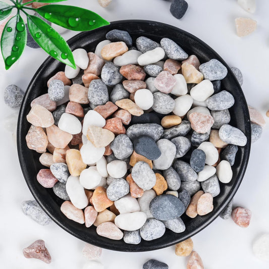 SIDONG 10 LB Natural Mixed Color Gravel Pebbles, 2/5 Inch Small Pea Gravel Stones, Decorative River Rocks for Succulents, Aquariums, Vases, Indoor Plants, Garden Landscaping, DIY