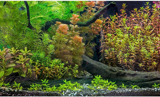 Underwater Aquarium Backdrop Grass Leaves with Pebbles Exquisite Aquarium Background Vivid Green Aquatic Plant Stone River Bed Fish Dead Wood Fresh Leaves Tank Background Decors Vinyl 48x18in