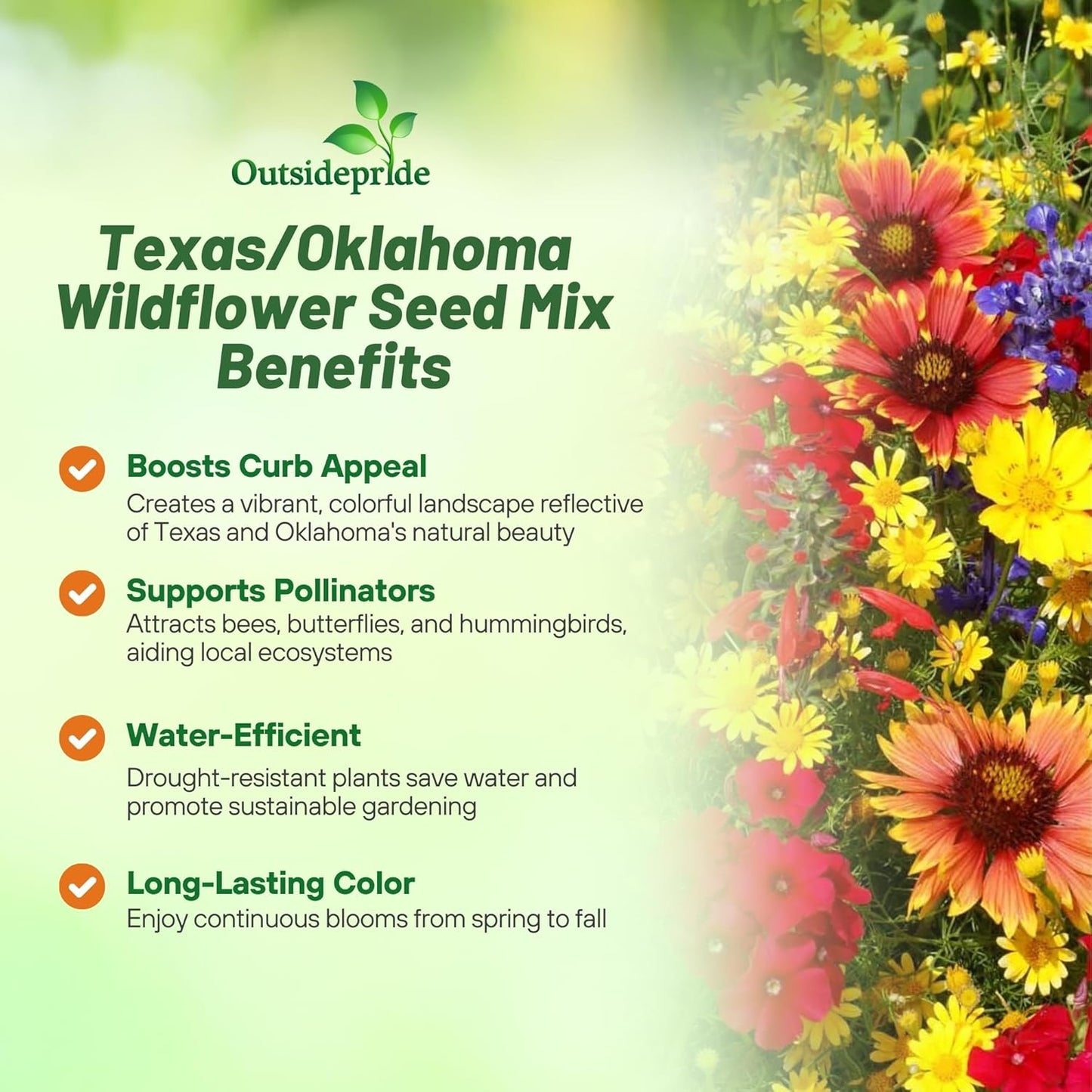 Outsidepride Texas & Oklahoma Wildflower Seed Mix - 1/4 lb Drought-Tolerant, Blend of Annual & Perennial Flower Seeds for Vibrant, Pollinator-Friendly Gardens, Thrives in Full Sun & Well-Drained Soil