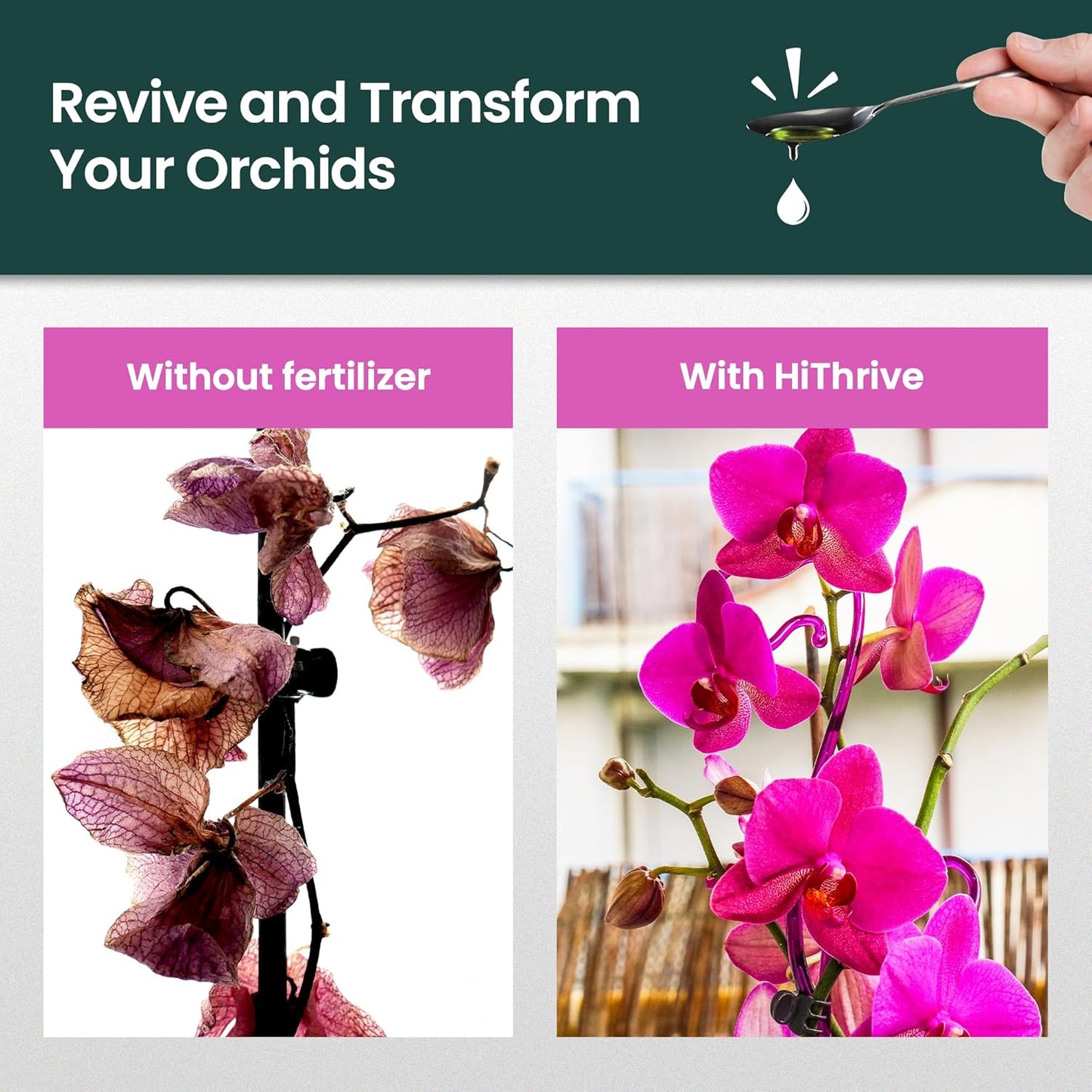 32oz Orchid Fertilizer - Makes 64 Gallons of Orchid Food, Indoor Plant Fertilizer for Orchids Indoors & Outdoors, Indoor Plant Food with Micronutrients for Vibrant Blooms and Strong Roots