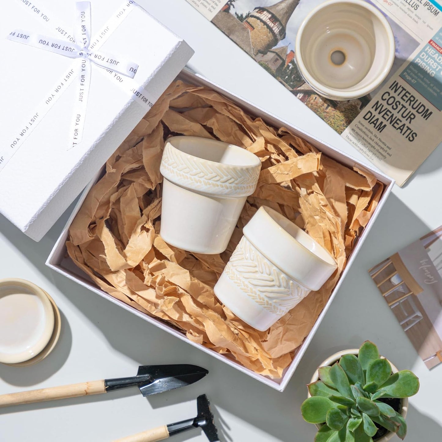 Succulent pots,Indoor Small Succulent Bonsai,3 Inch Mini Ceramic Succulent Pots with Saucer and Drainage Hole, Decorative Planter for Succulent, Cactus, Set of 4.