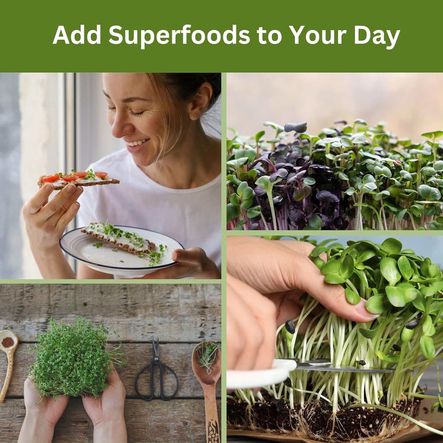 Complete Home Microgreens Kit - Organic Indoor Garden System - Includes 2 Sets of Reusable Trays, Premium Spray Mister, Coco Coir Growing Medium, 2 Packs Organic Seeds – Radish and Broccoli