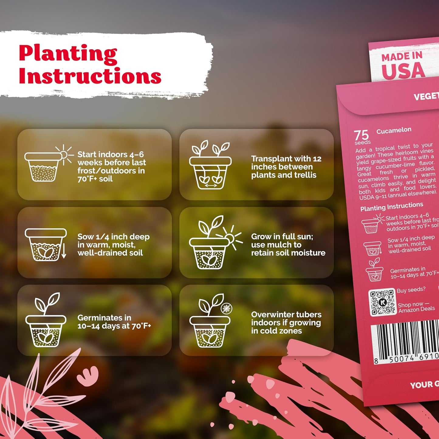 KVITER 75 Cucamelon Seeds for Planting (Melothria Scabra) – Mexican Sour Gherkin Seeds, Gherkin Cucumber, Mexican Mini Watermelon – Heirloom Vegetable Seed for Outdoor & Indoor Garden, Containers