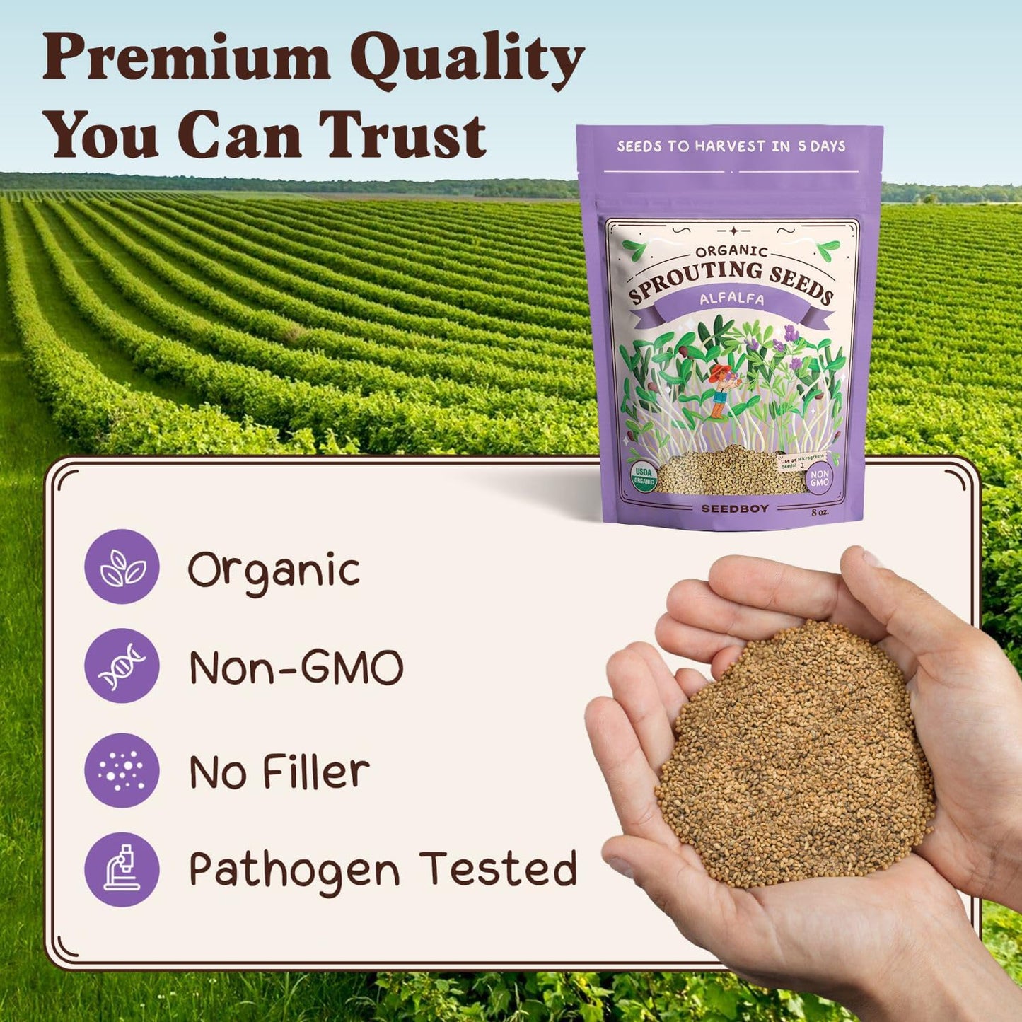Seedboy Organic Alfalfa Seeds for Sprouting - Non-GMO, USDA Organic Microgreens Sprouting Seeds Mix - Makes 8 Quarts of Sprouts, 24 Servings (8 oz) (Alfalfa)
