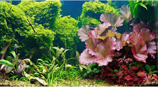 Aquarium Background Underwater Grass Leaves Pebble Aquarium Backdrop Vivid and Fresh Green Aquatic Plant Background Stone River Bed DeadWood Purple Leaves Tank Background Decor Vinyl 48x20in