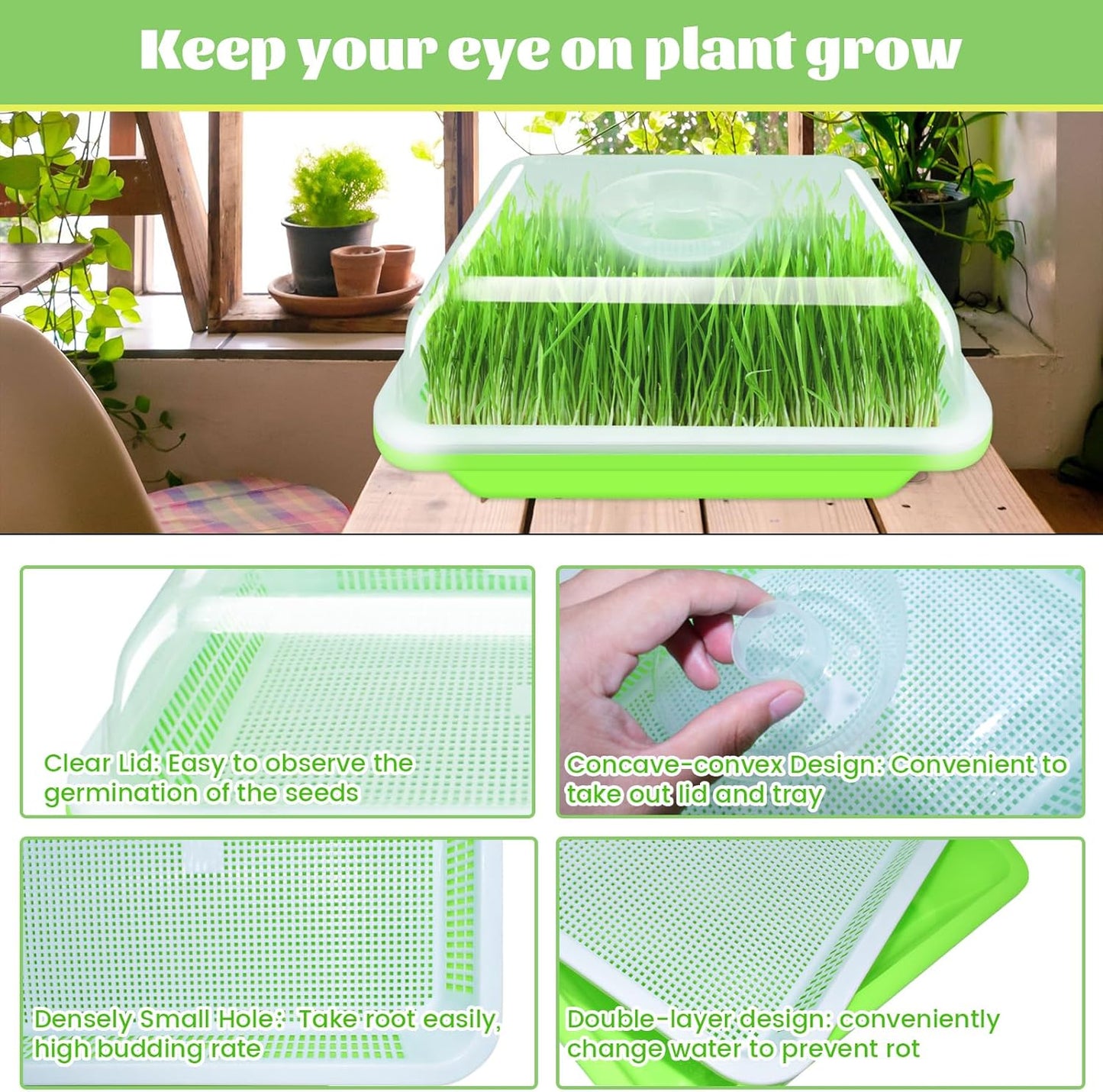 Legigo 2 Pack Seed Sprouter Trays with Lids- Soil-Free Cultivation Germination Tray, BPA Free Micro Greens Growing Trays Seed Sprouting Trays Kit with Germinating Paper for Wheatgrass, Beans and More