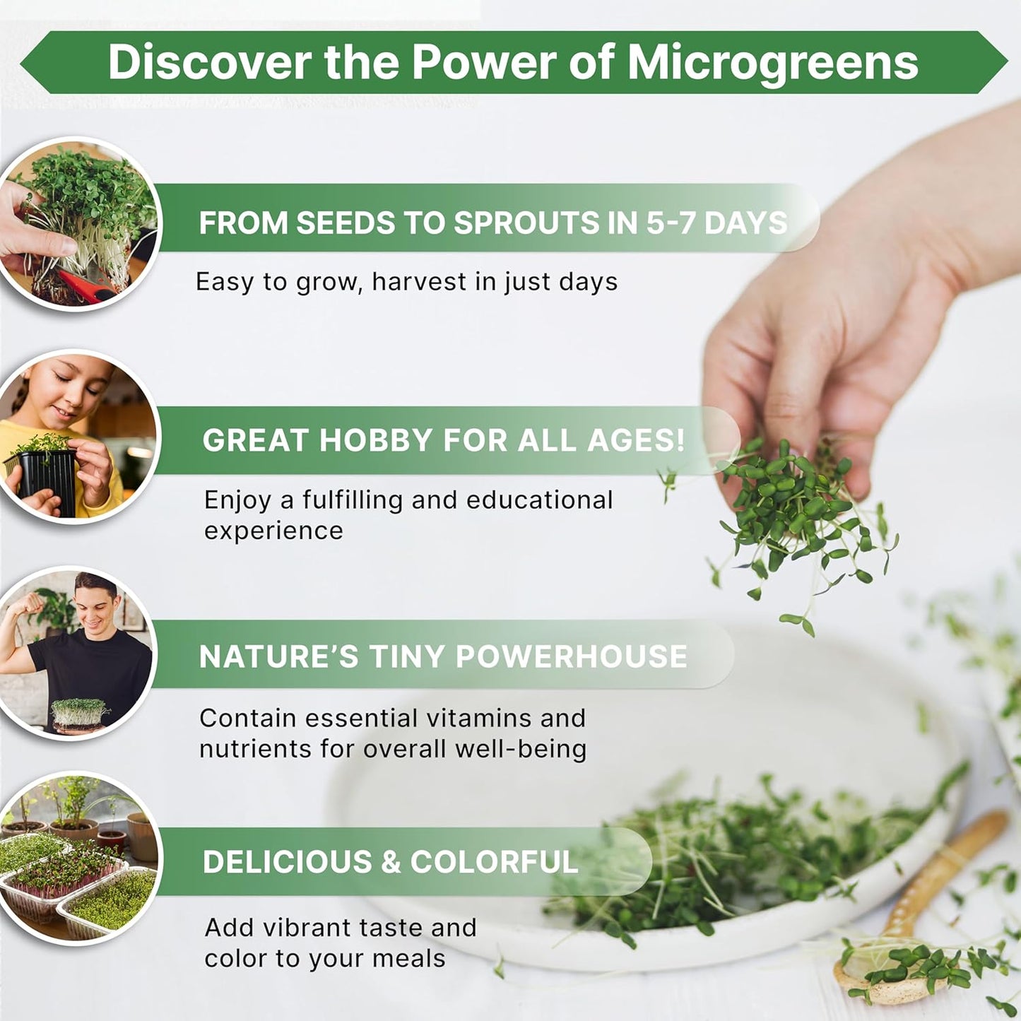 Organo Republic Radish Sprouting & Microgreens Seeds - Non-GMO, Heirloom Sprout Seeds Kit, 1lb Resealable Bag for & Growing Microgreens in Soil, Coconut Coir, Aerogarden & Hydroponic System.