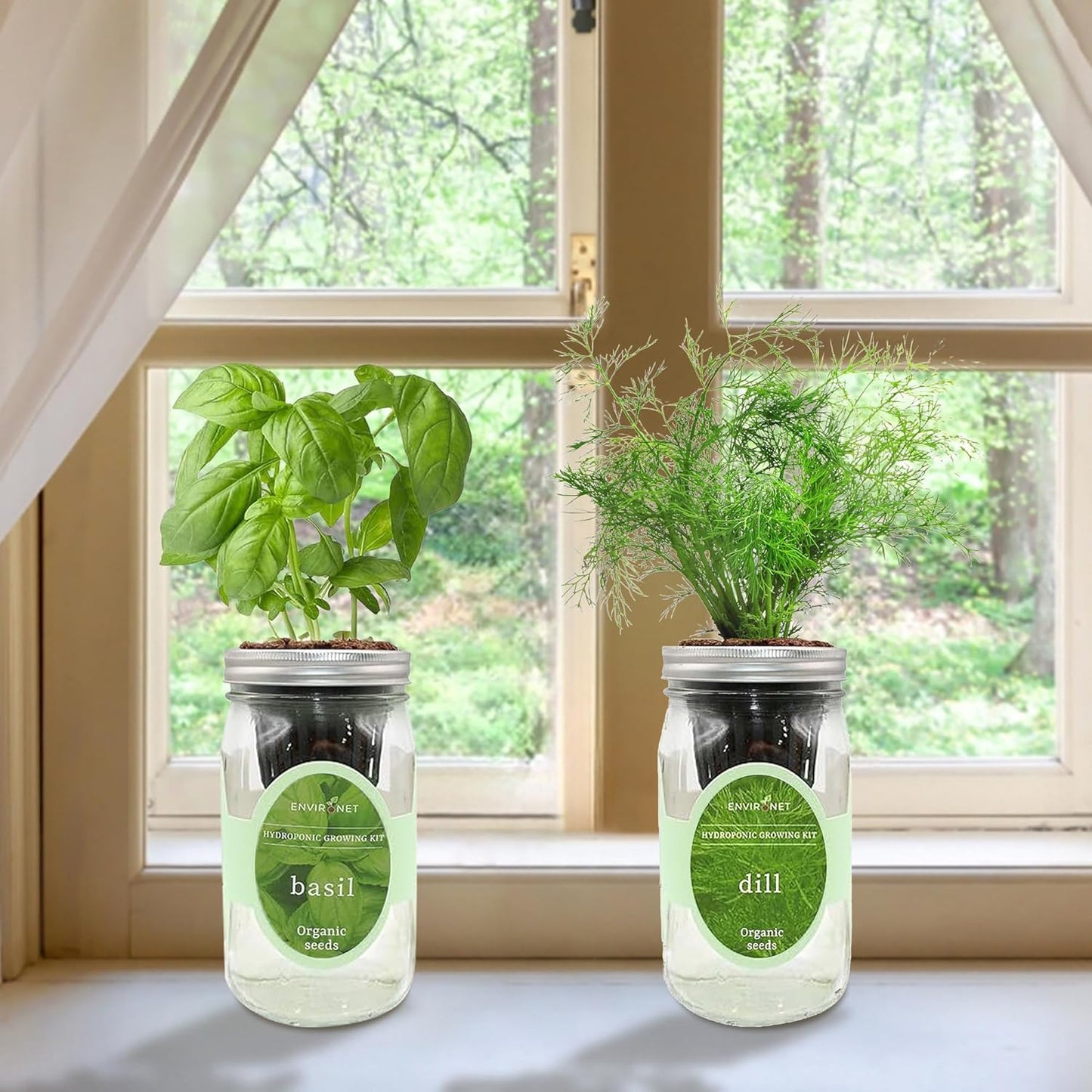 2-Pack Hydroponic Mason Jar Herb Garden Kit, Indoor Herb Garden Self-Watering Starter Kit (Basil,Dill)