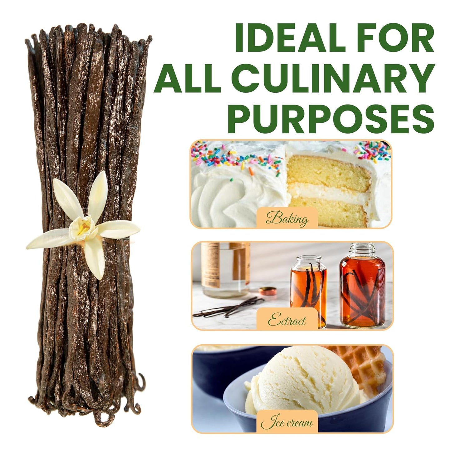 30 Count Organic Madagascar Vanilla Beans – Grade A Bourbon Pods | Gourmet Whole Vanilla Beans for Baking, Cooking, Extract Making | Rich Aroma, Premium Flavor, Non-GMO, Vegan