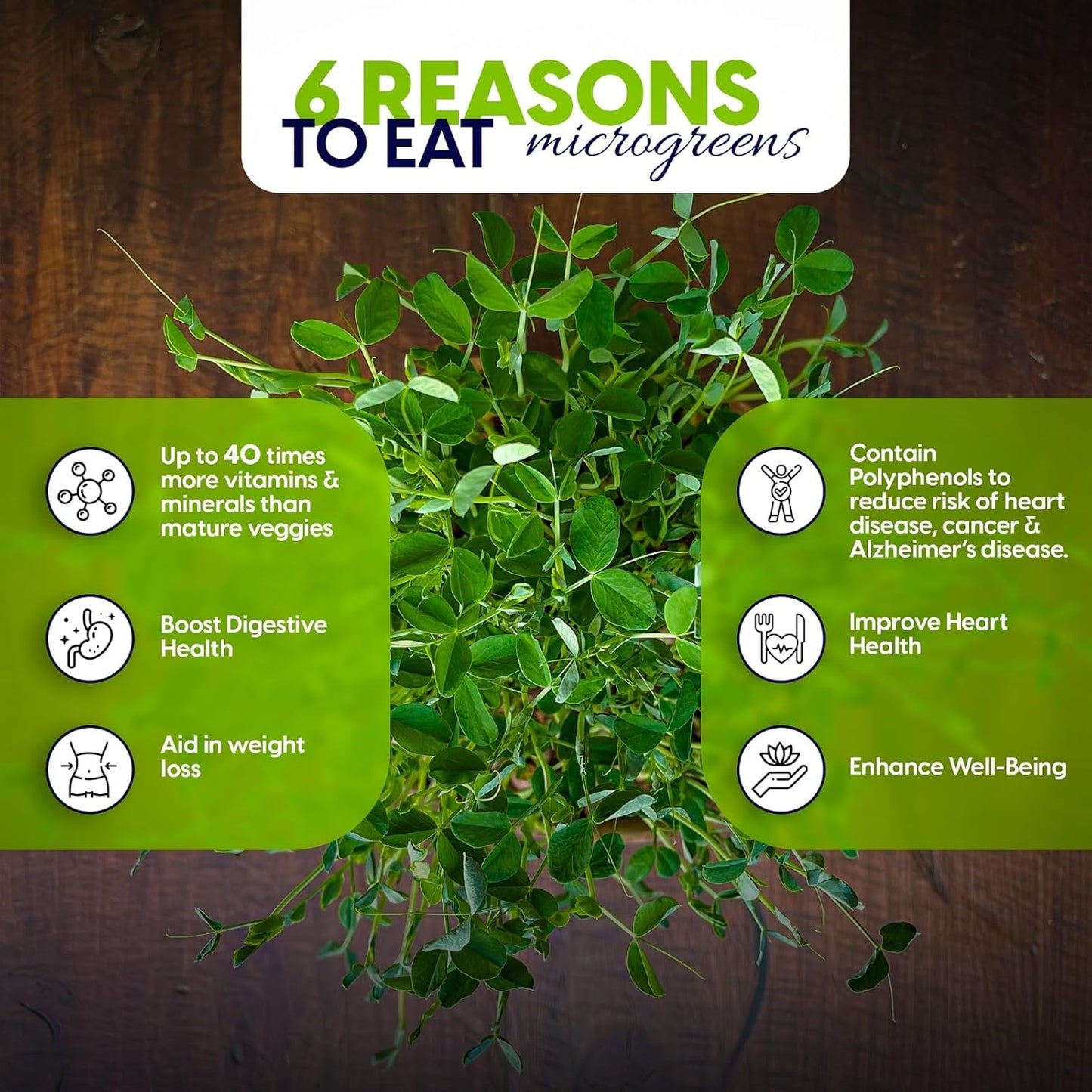 Complete Microgreens Growing Kit with 6 of The Most Popular Seed Varietes to Grow Nutritious Microgreens at Home.