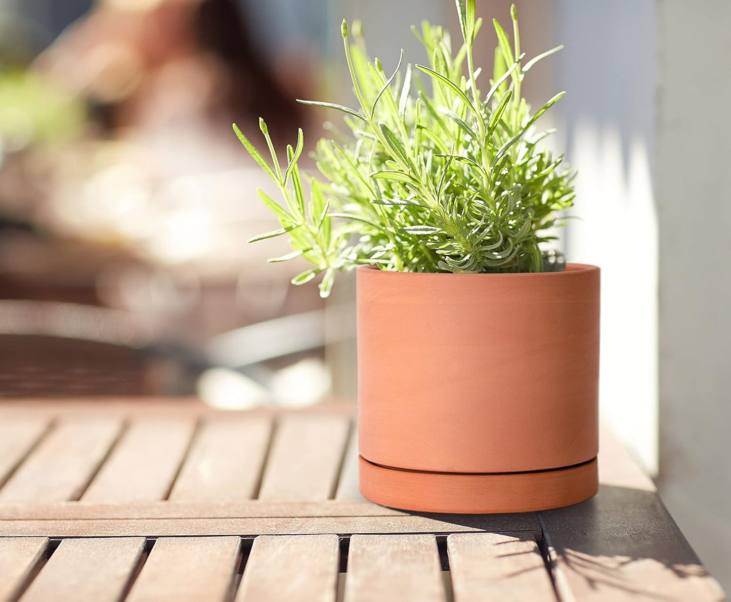 D'vine Dev X-Small 4 Inch Terracotta Plant Pot with Drainage Hole and Saucer, Round Cylinder Planter Pot for Indoor Plants, 40-X-A-1