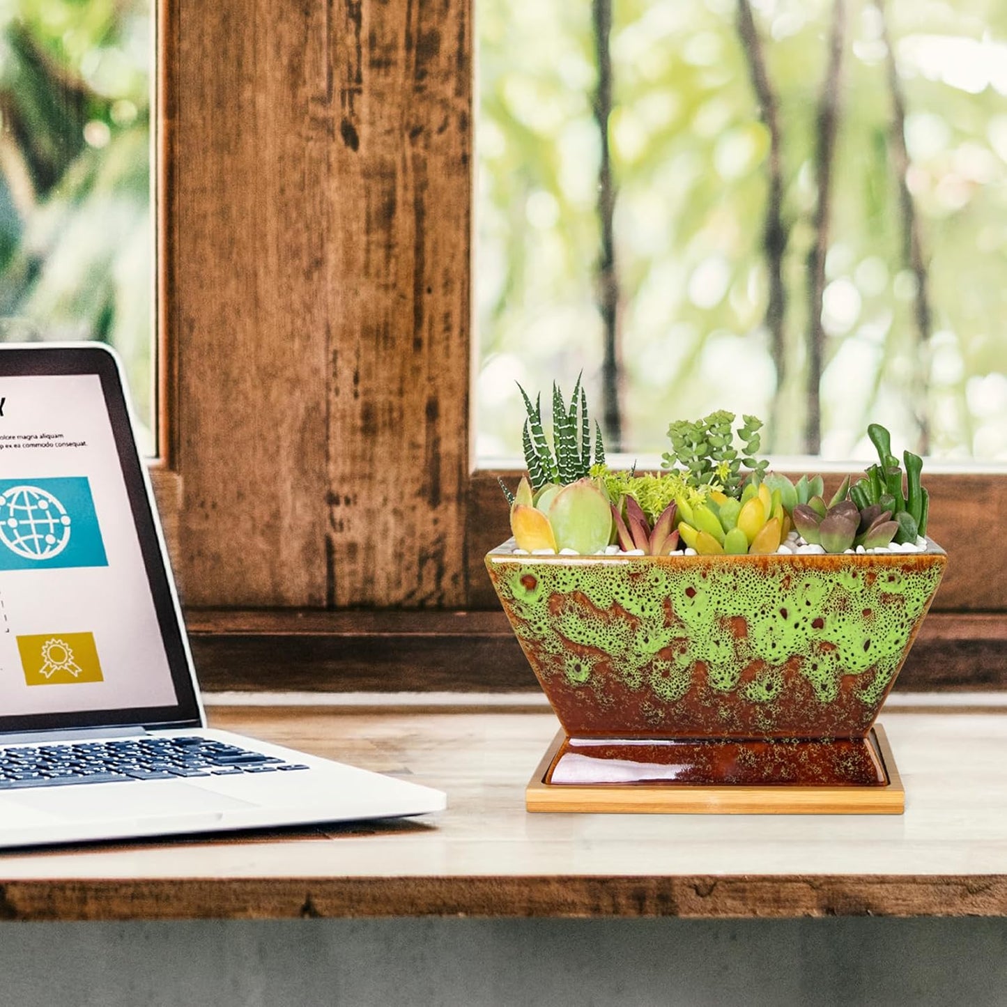 ARTKETTY Succulent Pots - 7 Inch Large Plant Pot with Drainage Tray, Shallow Ceramic Pots for Indoor Plants, Modern Cactus Bonsai Plant Container Decorative Home Office