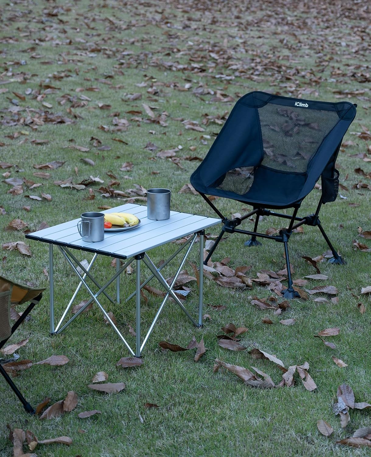iClimb Ultralight Compact Camping Folding Table with Carry Bag (Reinforced Silver - L)
