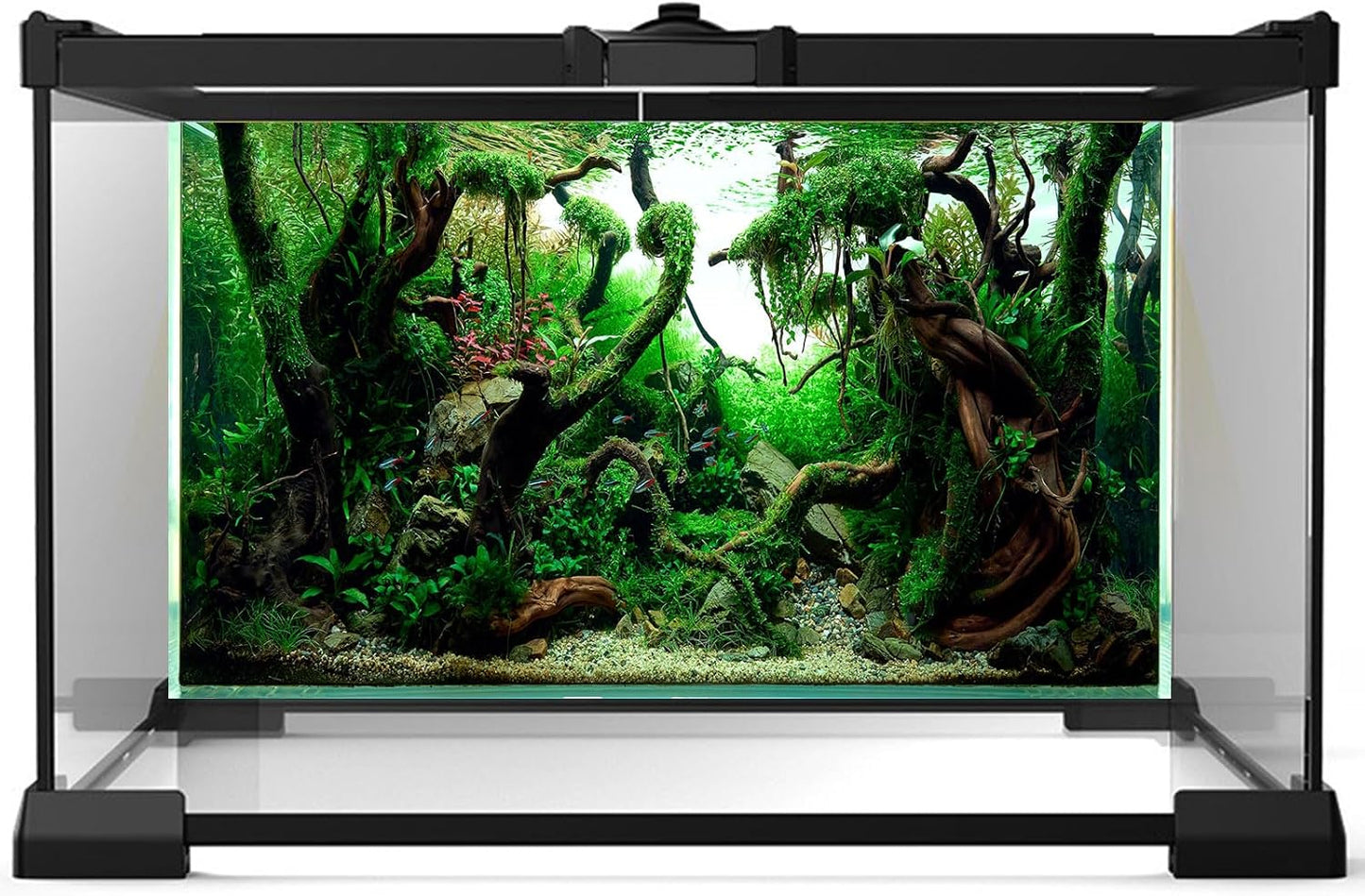 Aquarium Background Underwater Pebble Grass Leaves Aquarium Backdrop Vivid Fresh Green Aquatic Plant Stone River Bed Aquarium Backdrop Deadwood Purple Leaves Tank Background Vinyl 36x24in