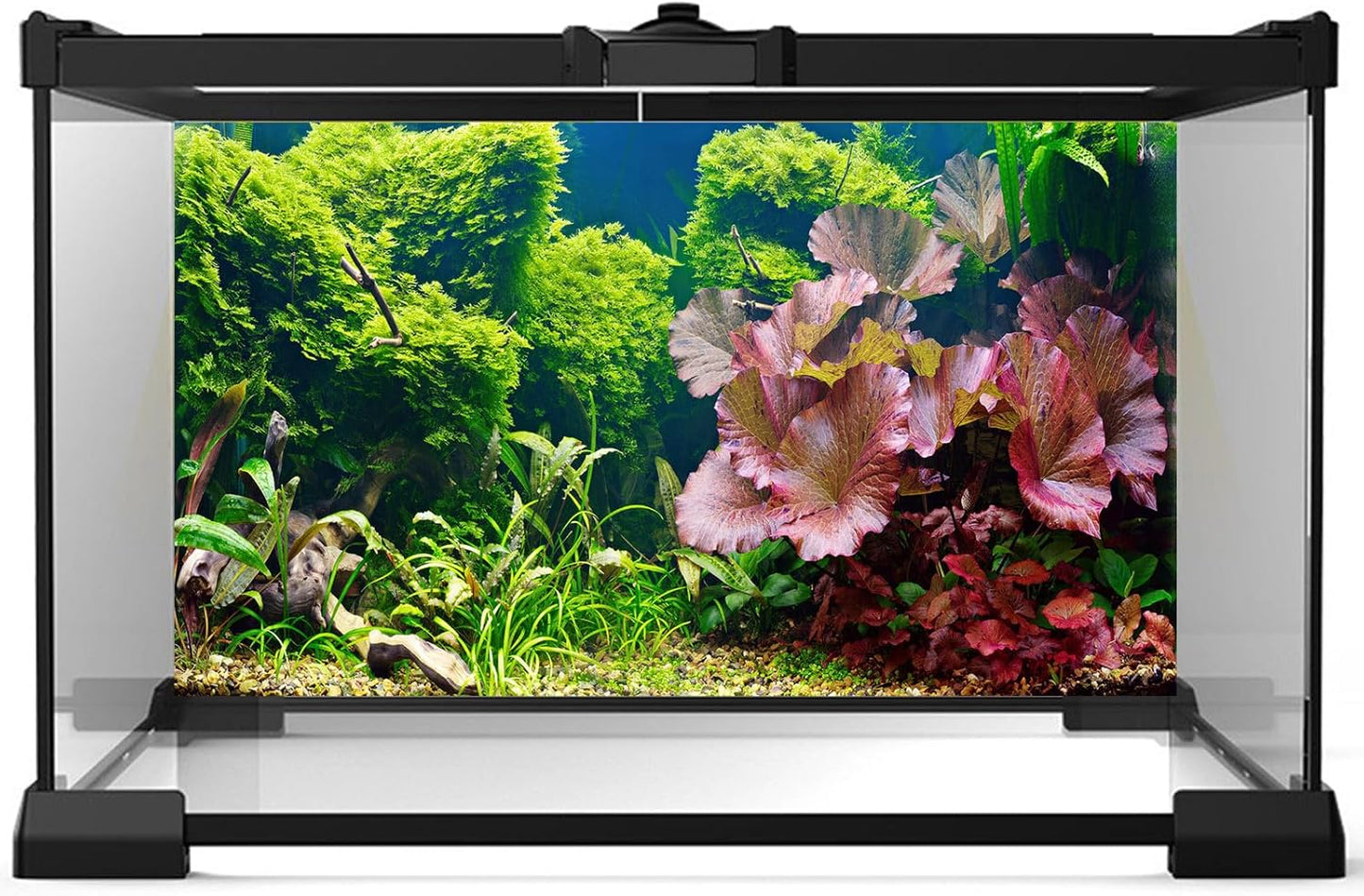 Aquarium Background Underwater Grass Leaves Pebble Aquarium Backdrop Vivid and Fresh Green Aquatic Plant Background Stone River Bed DeadWood Purple Leaves Tank Background Decor Vinyl 30x12in