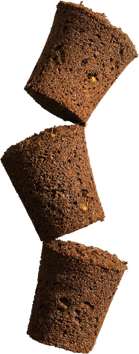 Grow Your Own Seed Pod - Complete Seed Pod Plugs with Plant Food (add Your own Seeds) - 10 Pods for Hydroponic Gardens, Click and Grow, Lettuce Grow and Outdoor Gardens