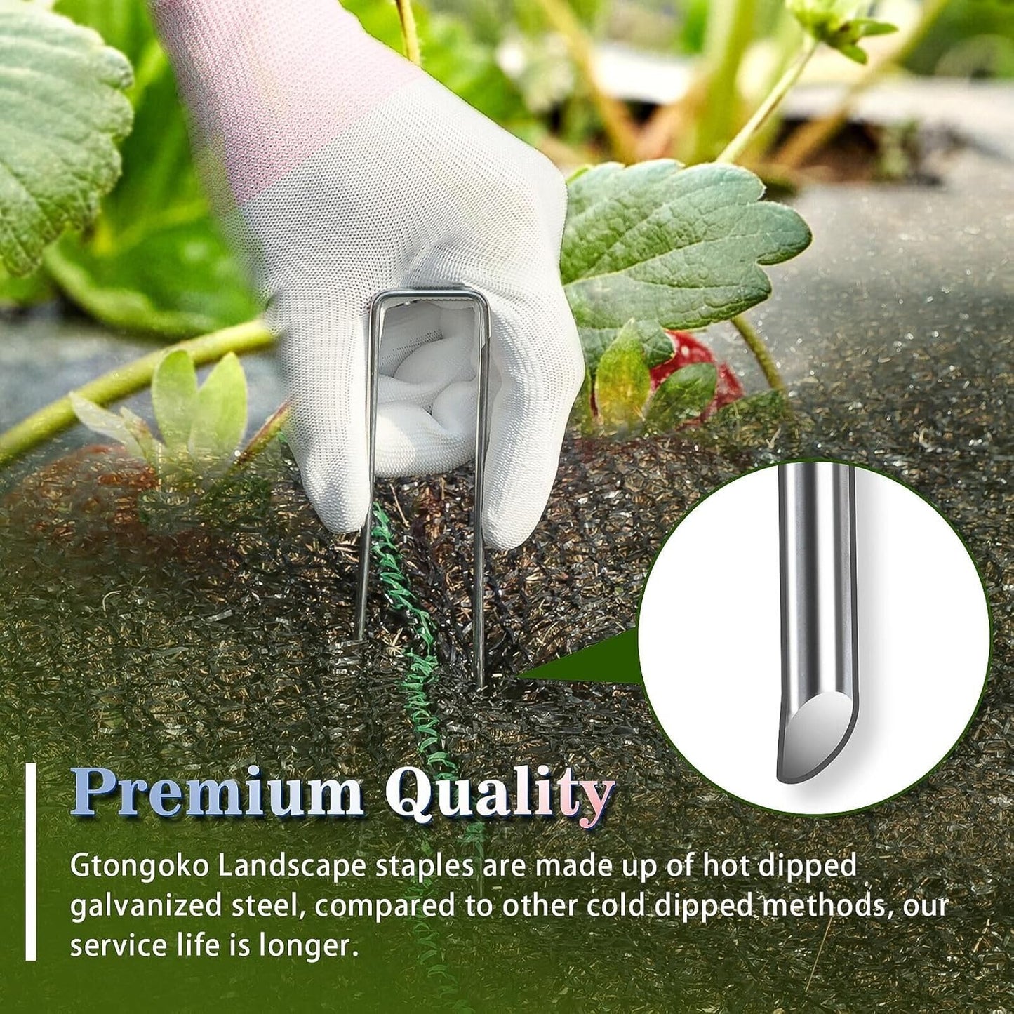 Gtongoko 500 Pack Galvanized Landscape Staples Garden Stakes Plant Cover Stakes 6 Inch 11 Gauge SOD Staples Ground Stakes for Landscaping Securing Weed Barrier Fabric