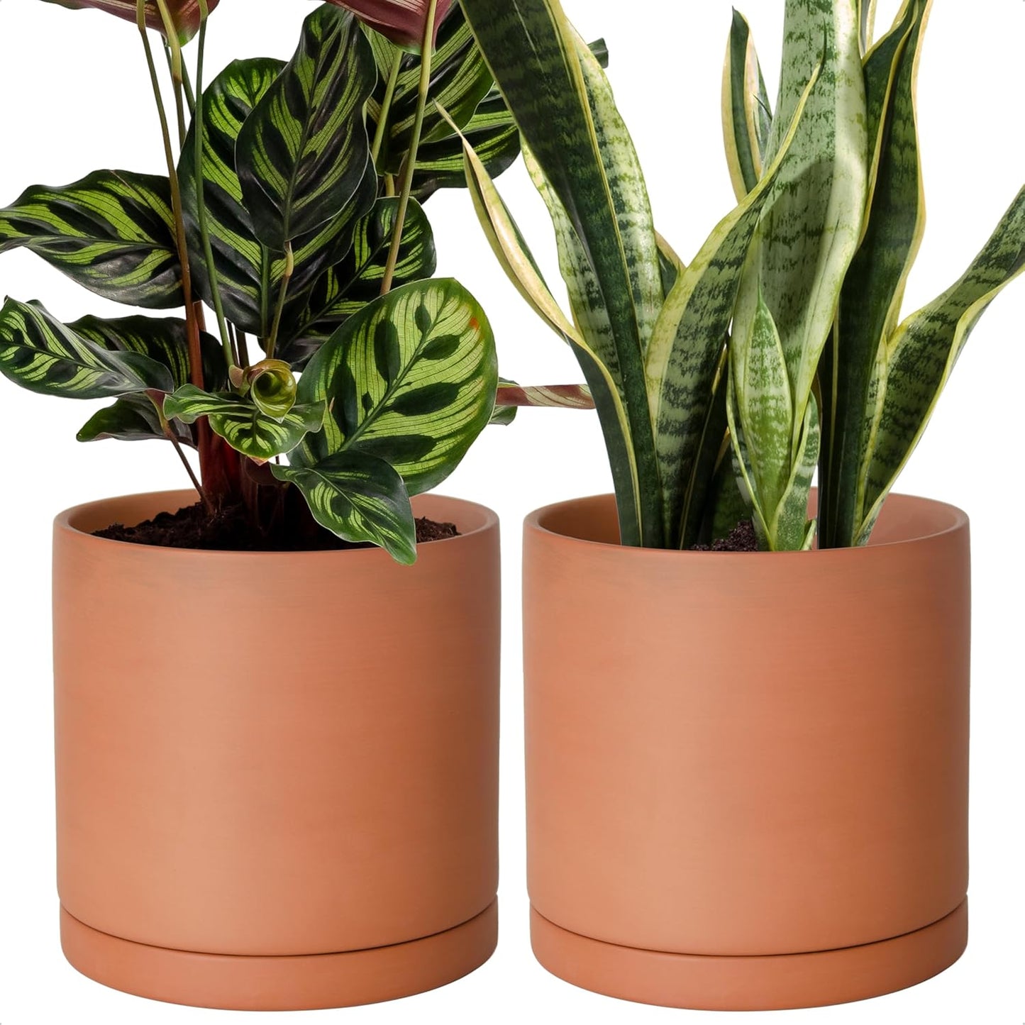 D'vine Dev Medium 8 Inch Terracotta Plant Pot with Drainage Hole and Saucer, Round Cylinder Planter Pot for Indoor Plants, Set of 2, 40-X-B-4