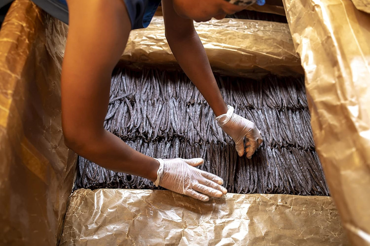 25 Premium Soft Vanilla Beans Grade A/B - Whole Vanilla beans, ideal for extract and every day use, 5-7" inches