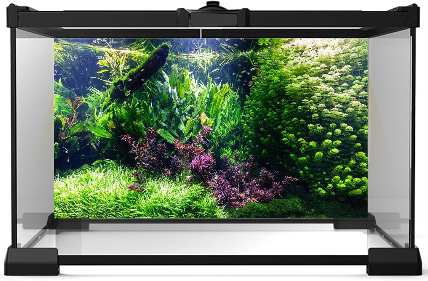 Aquarium Background Various Underwater Grass Plants Aquarium Backdrop Vivid and Fresh Green Aquatic Plants Stone River Bed and Dead Wood Tank Background Vinyl 36x18in