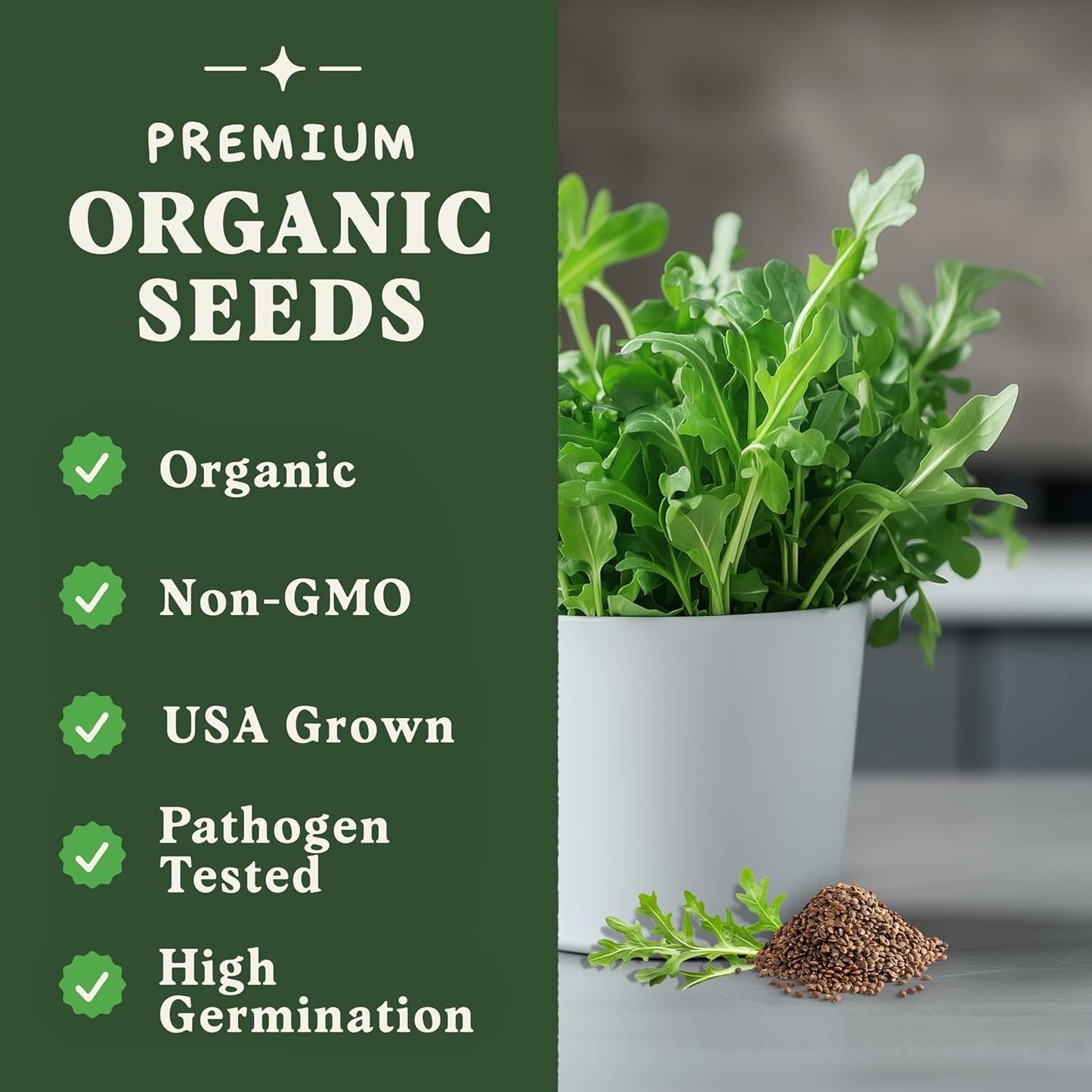 Seedboy Organic Arugula 'Slow Bolt' Seeds for Planting Indoor and Outdoor, Non-GMO and USDA Certified Herb Seed Packet for Hydroponic Garden Indoor or Planting Outdoors (Slow Bolt Arugula)