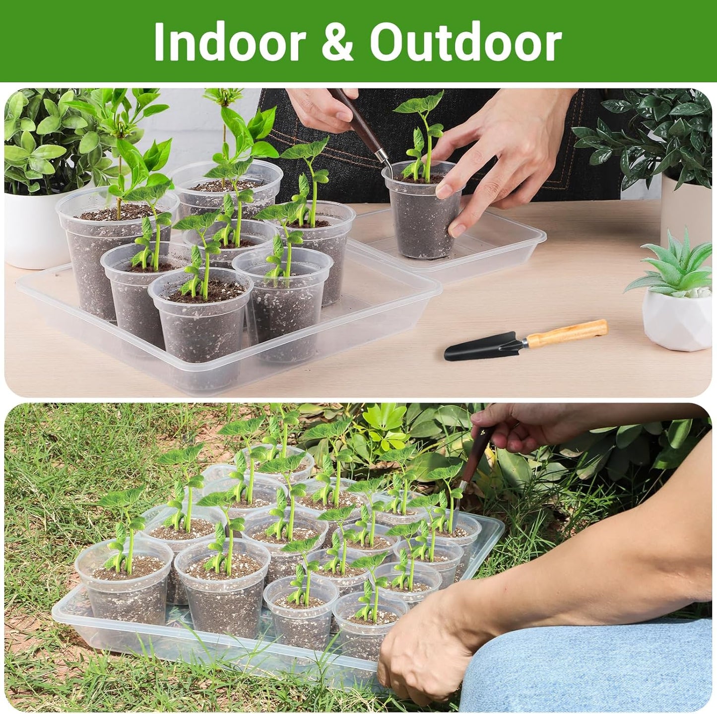 GREANER 6 Inch Square Plant Saucer, 6 PCS Plastic Tray for Indoors, Durable Thick Flower Pot Plant Drip No Holes, Clear Plant Water Catcher Tray for Indoor Outdoor Planter