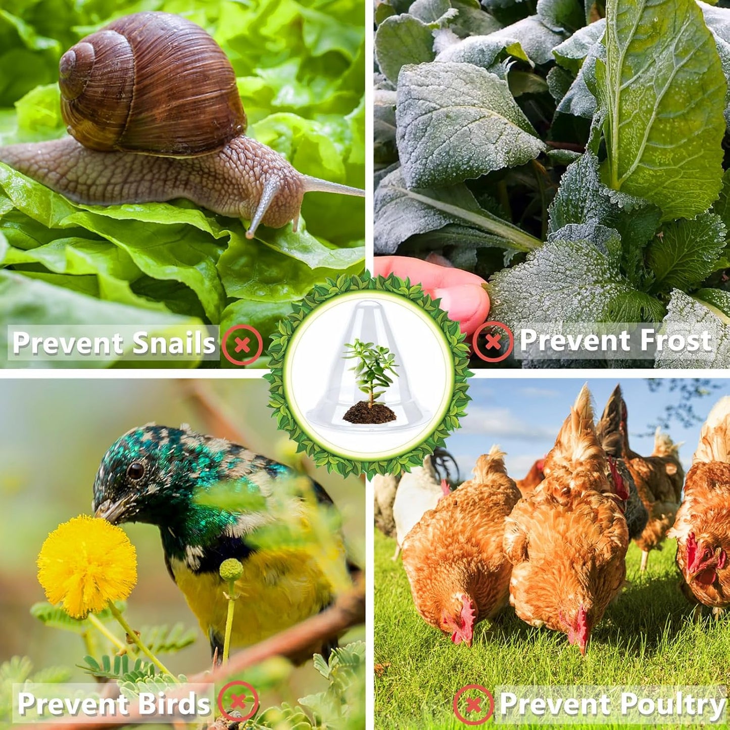 【20 Pieces】 Garden Cloches for Plants, Large Plant Covers Plant Protectors Transparent Bell Jar Cloches to Protect Plants from Birds, Slugs, Frost, Freeze Weather, 10.6" D x 9.5" H, Transparent