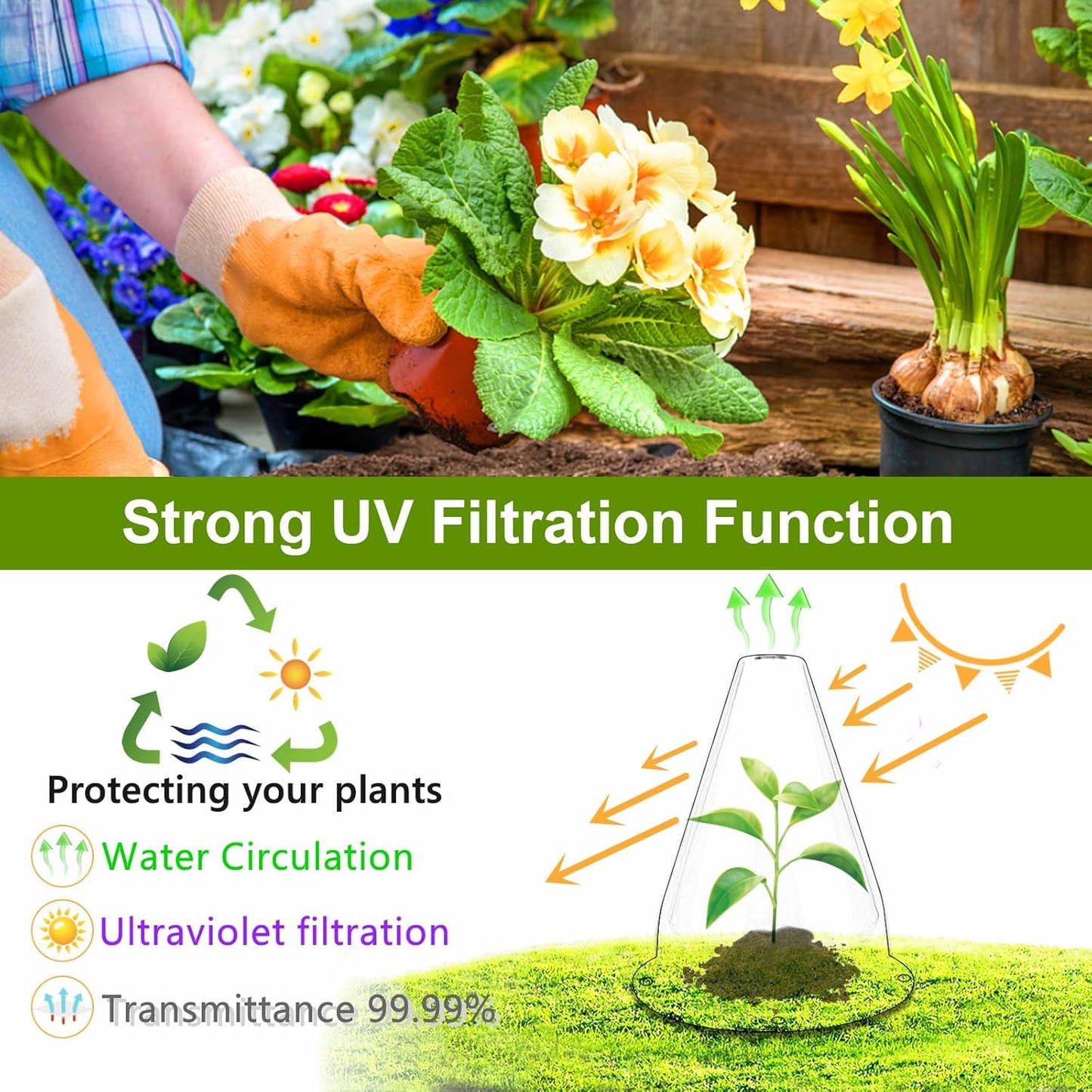 【24 Pieces】 Garden Cloches for Plants, Plant Cover Plant Protectors Transparent Bell Jar Cloches Protection Plants from Birds, Slugs, Frost, Freeze Weather, 7.8" D x 9.4" H, Transparent