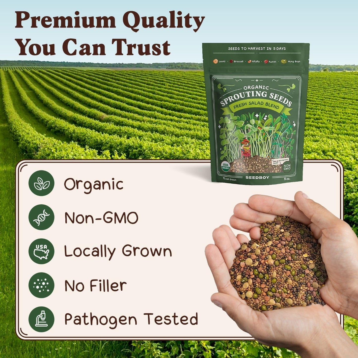 Seedboy Organic Sprouting Seeds - Salad Blend Variety- Non-GMO, USA Grown Microgreens Mix - Alfalfa, Broccoli, Radish, Mung Bean, Lentil - Makes 8 Quarts of Sprouts, 24 Servings (8 oz) (Salad Blend)