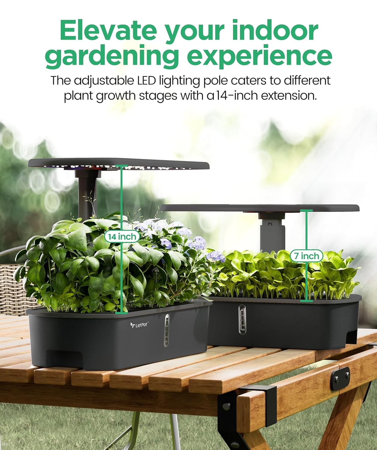 LETPOT LPH-Air Hydroponics Growing System Kits, APP & WiFi Controlled Smart Indoor Garden with 24W Grow Light Full Spectrum, 10 Pods Planter Indoor Gardening for Gifts, Kitchen, Vegetable (Black)