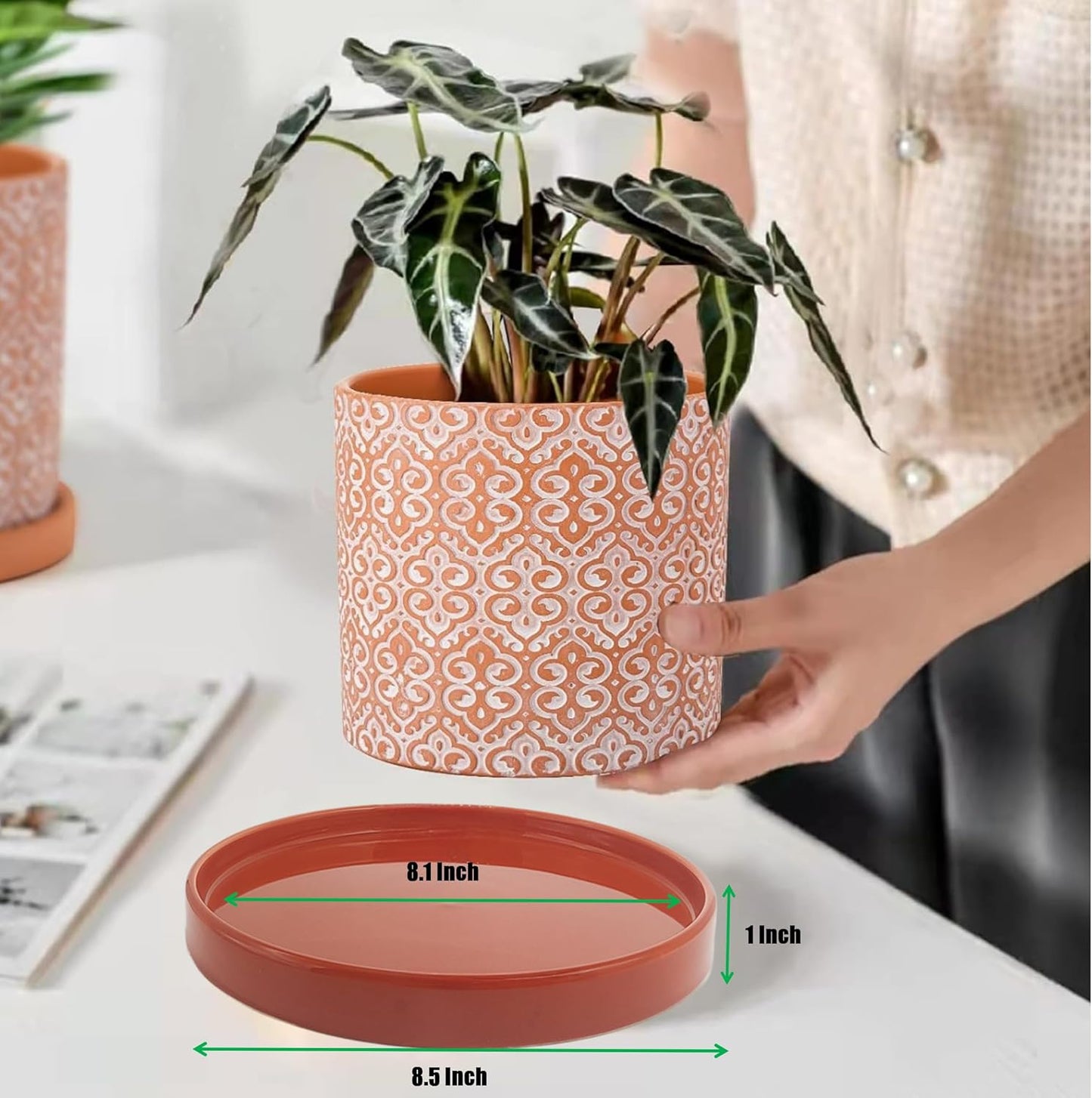 2 Pack Ceramic Plant Saucer Pot Tray 8.5 Inch, Planter Saucers 6 7 8 9 10 11 12 15 Inch, Durable Sturdy Flower Drainage drip Water Tray for Glazed Pots Base (8.5 Inch- Red Terracotta)