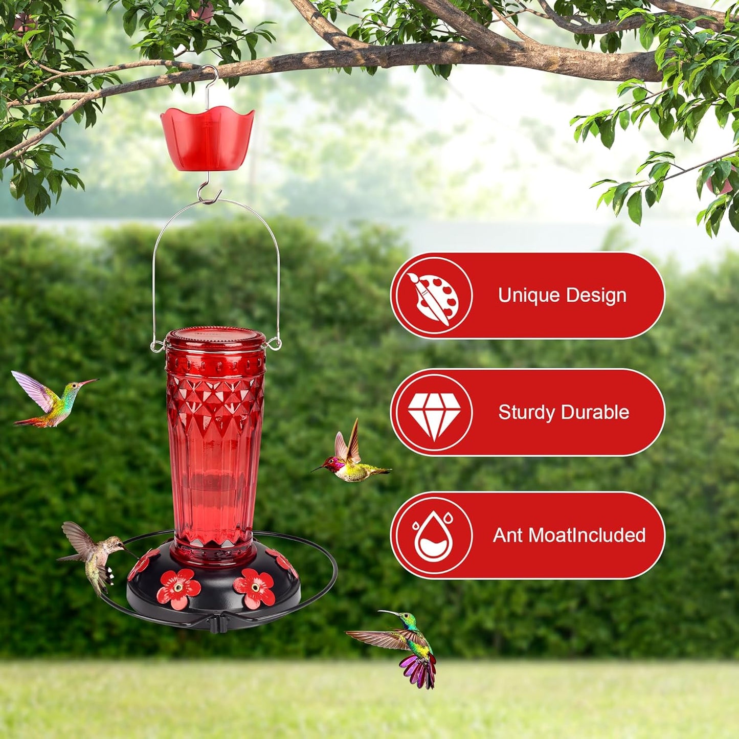Hummingbird Feeder-16 Ounces，6 Feeding Ports Glass Hummingbird feeders for Outdoors,Wide Mouth for Easy Filling/Cleaning，Hanging for Garden Backyard Decor, Includes Ant Moat (Red)