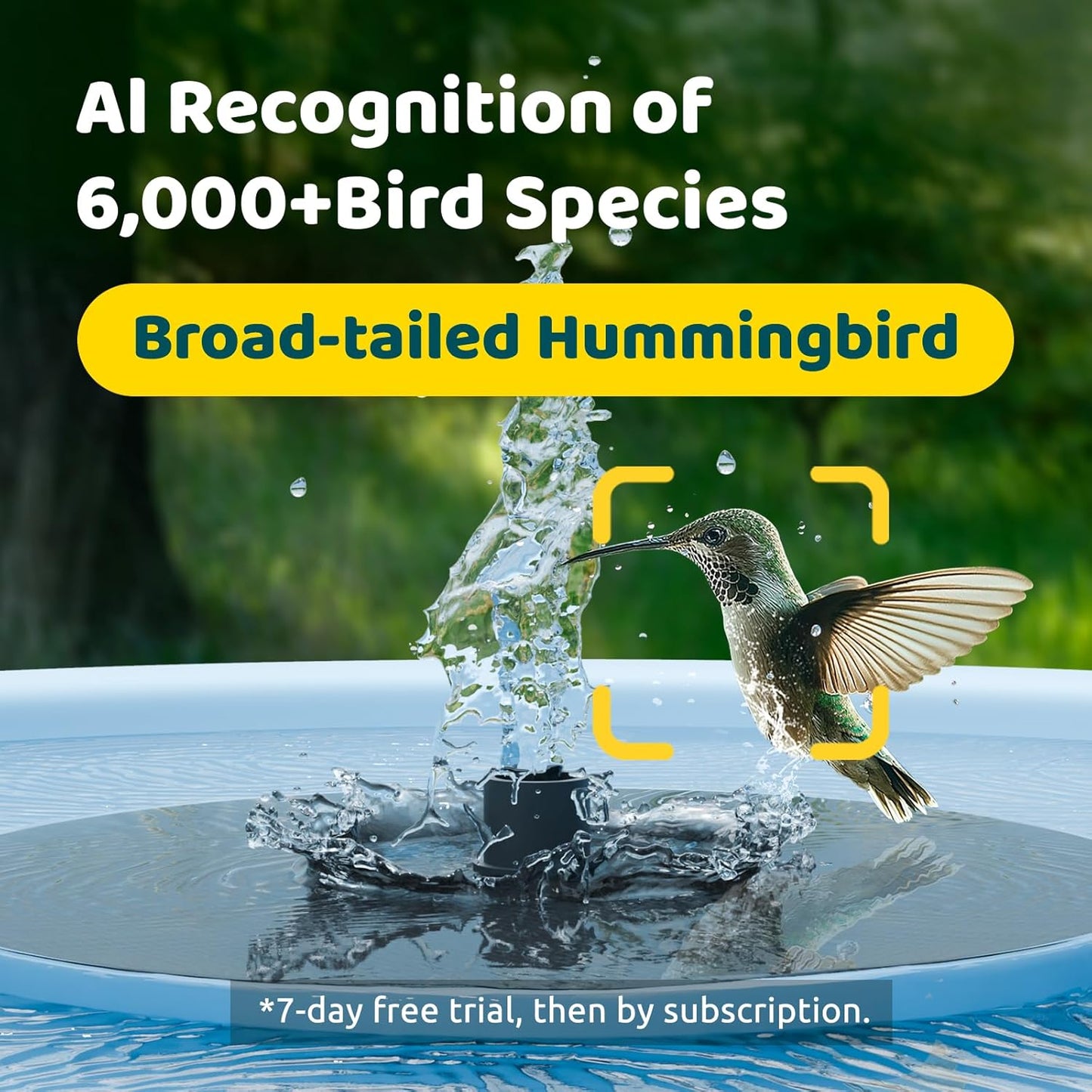 Birdfy Smart Bird Bath with Camera Solar Powered & Fountain & Stand, Dual-Lens Camera for Wildbird Watching, Auto Capture Bird Videos & Motion Detection - AI by Subscription
