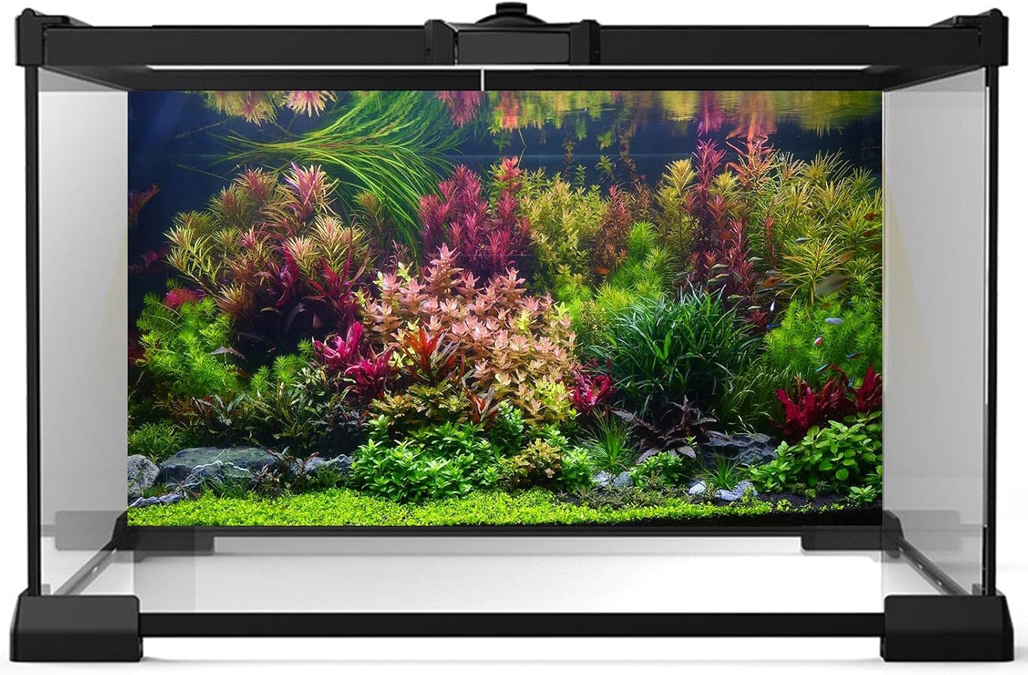 Aquarium Background Various Vivid Fresh Underwater Aquatic Plant Fish Tank Aquarium Backdrop Stone River Bed and Lake Fish Terrarium Background Decor Vinyl 72x16in