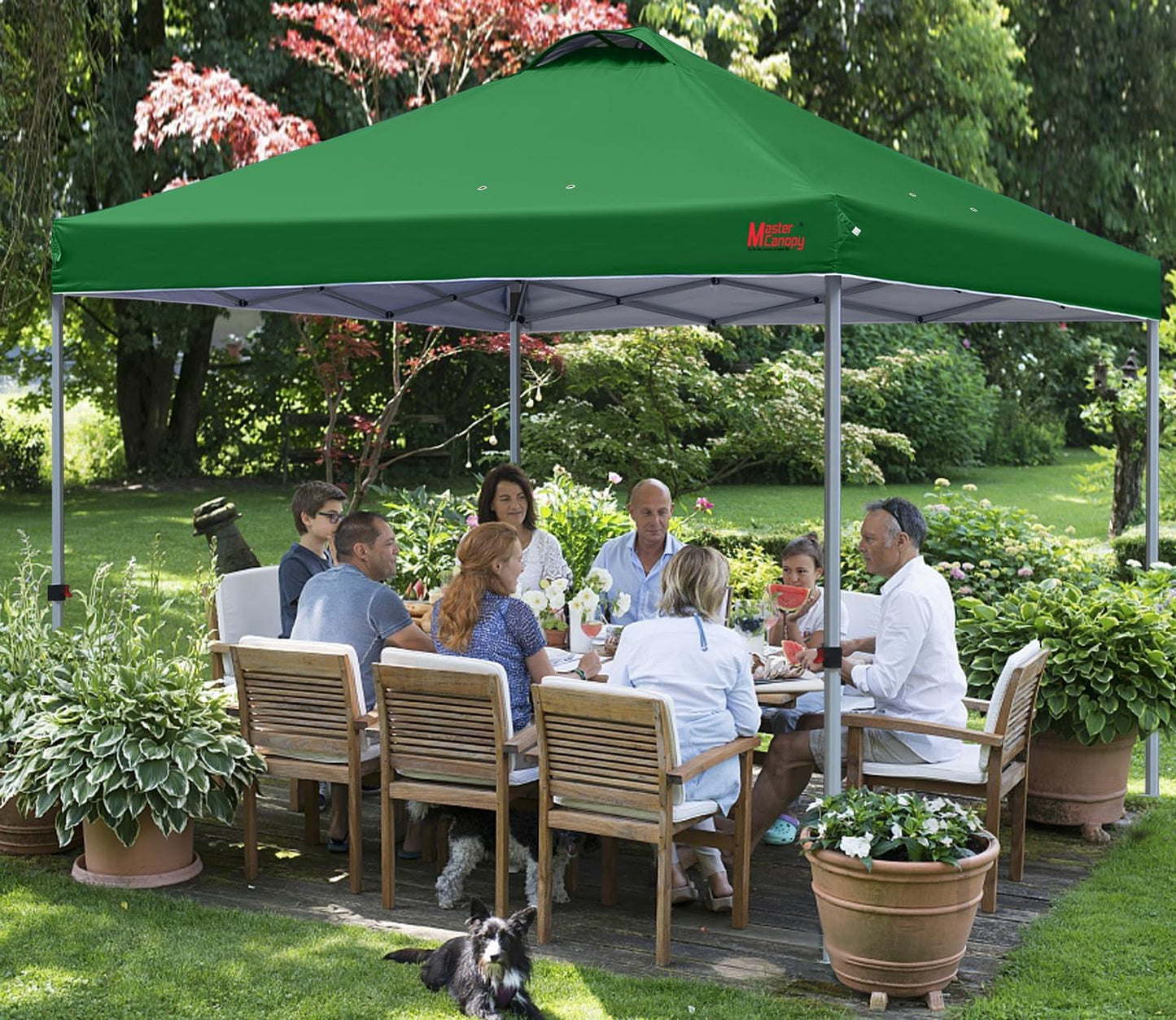 MASTERCANOPY Durable Pop-up Canopy Tent with Roller Bag (10x10, Forest Green)