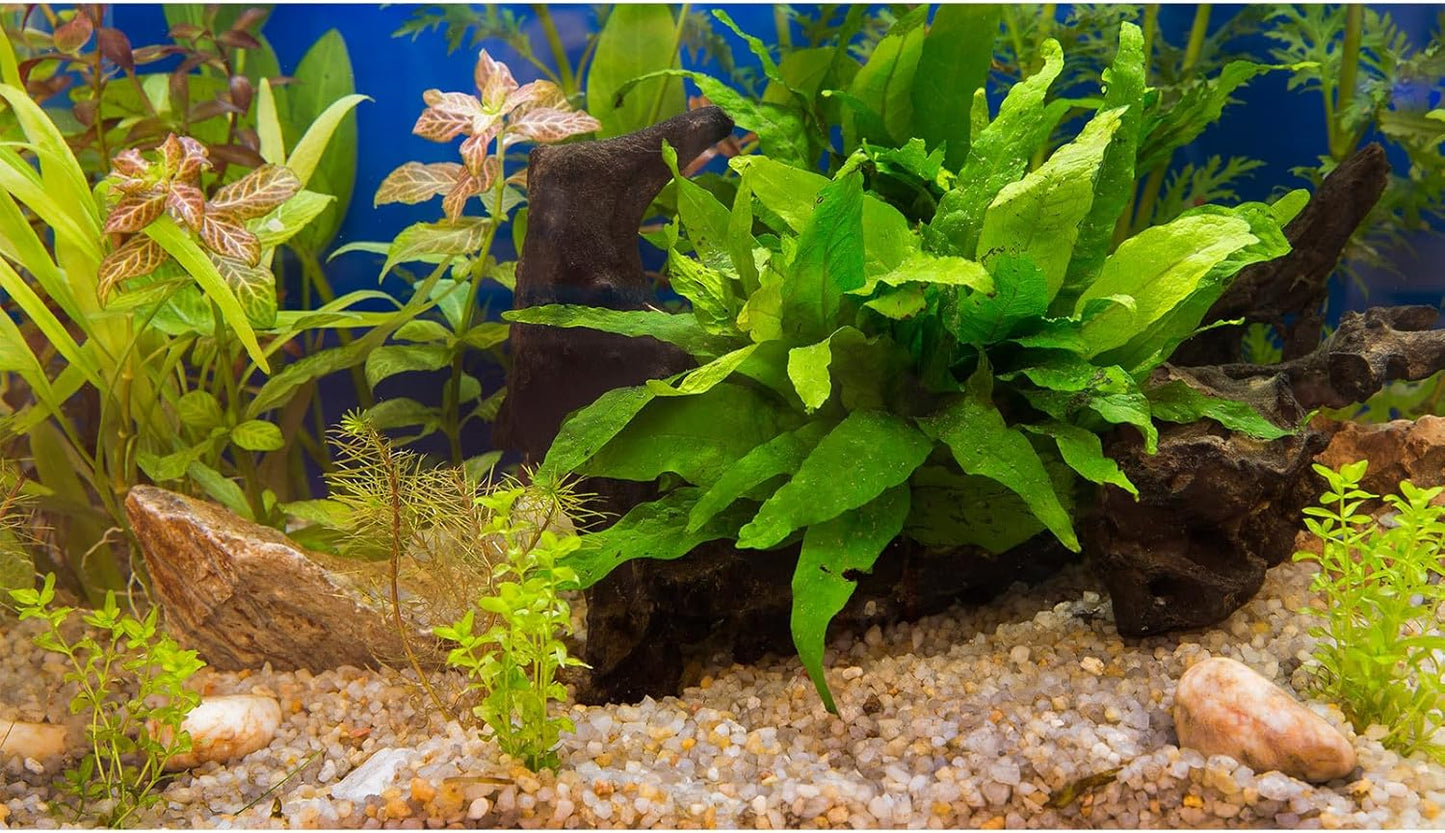 Fish Tank Background Underwater Grass Leaves Pebble Aquarium Background Vivid Green Aquatic Plant Terrarium Background Stone River Bed Fish Dead Wood Leaves Tank Background 30x12in
