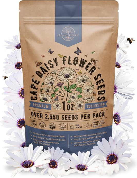 Cape Daisy Flower Seeds Pack 1 oz - Over 2,550 Non-GMO Heirloom Cape Daisy Seeds for Planting, Perennial Flowers in Individual Seed Packet, Seed for Planting Home Garden Indoor & Outdoor Gardening
