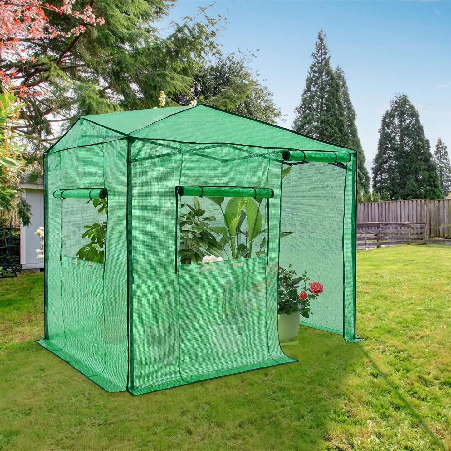 EAGLE PEAK Instant Pop-up Greenhouse, Indoor Outdoor Plant Gardening Green House, Roll-Up Zipper Doors and Side Windows, Walk in 8x6 ft, Green/Clear