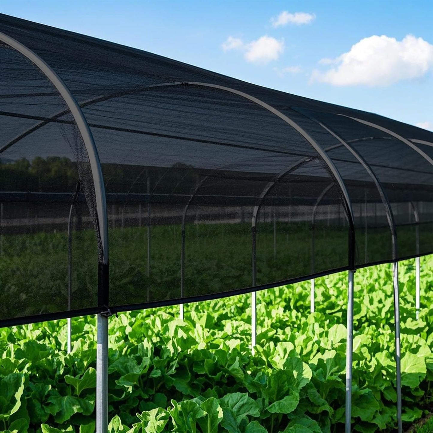 winemana Black Shade Cloth 50%, 5x20 FT Mesh Tarp - Garden Shade for Greenhouse, Patio, Vegetables, Plants Cover and Chicken Coops, Sun Shade Net for Outdoor Protection with Reinforced Grommets