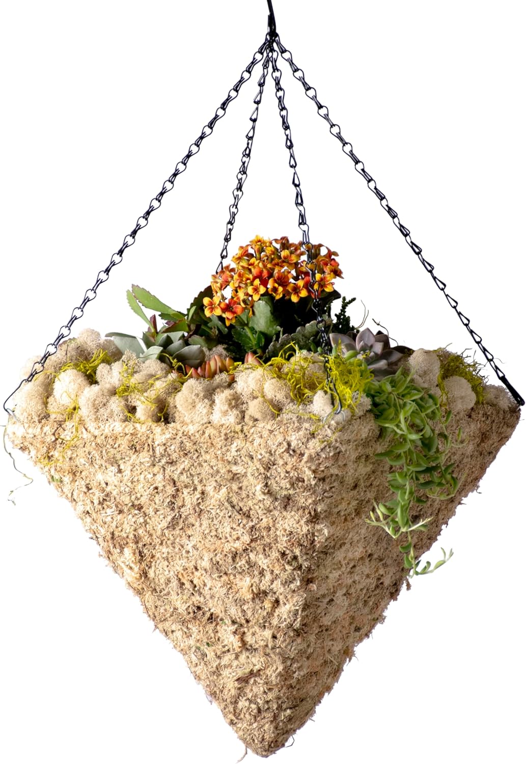 SuperMoss (29247D MossWeave Hanging Basket | Outdoor Hanging Planter with Moss | Decorative Plant Hanger for Porch, Balcony, Garden & Home Décor, Pyramid, Small 12.5” D, Blond