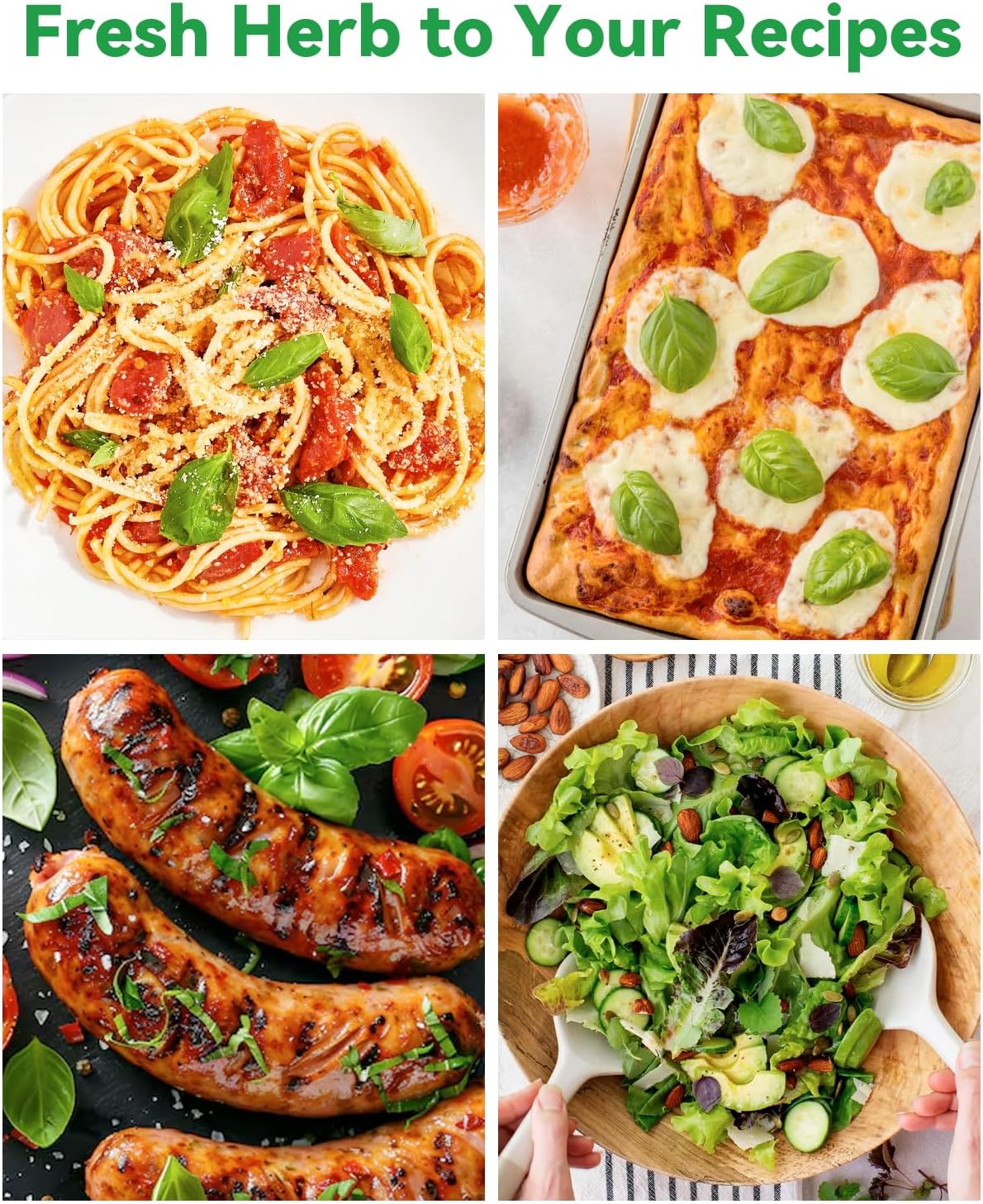 Gourmet Herb Seed Pod Kit Compatible with AeroGarden, idoo, Ahopegarden, Gardencube with Basil, Parsley, Thyme, Mint, Cilantro, Dill, Oregano, Chives - Compatible with All Hydroponics(8-Pod)