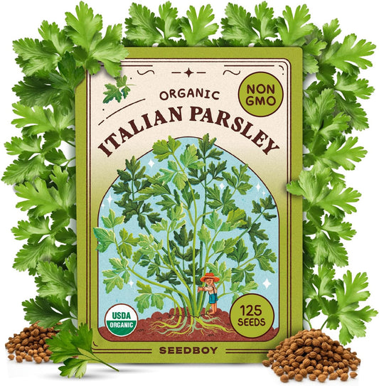 Seedboy Organic Parsley Seeds for Planting Indoor and Outdoor, Non-GMO and USDA Certified Herb Seed Packet for Hydroponic Garden Indoor or Planting Outdoors (Italian Parsley)