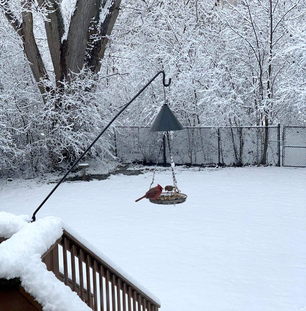 MIXXIDEA 2 Pack Heavy Duty Extensible Adjustable Deck Hooks for Hanging Bird Feeders, Plants, Suet Baskets, Wind Chimes, Lanterns