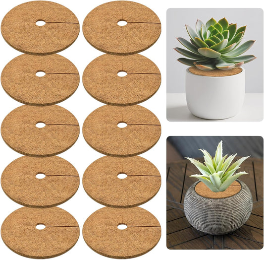 ZeeDix 10 Pack 6 Inch Coconut Fiber Mulch Ring, 100% Natural Coco Coir Tree Ring Mulch Mat Plant Protector Mat, Coconut Coir Discs Plant Pot Soil Cover for Indoor Outdoor Plants, Flower Pot Decoration