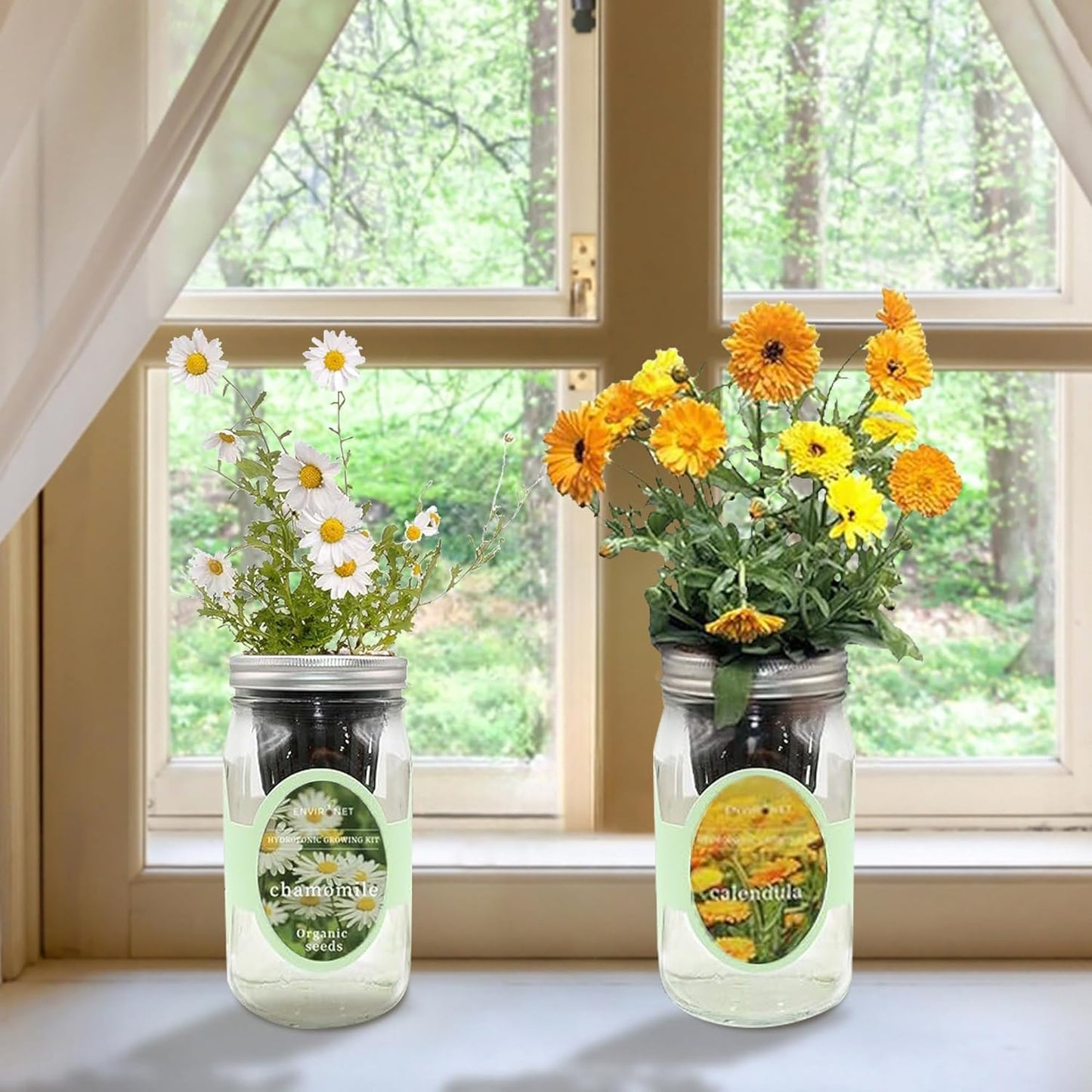 2-Pack Hydroponic Mason Jar Herb Garden Kit, Indoor Herb Garden Self-Watering Starter Kit (Calendula,Chamomile)