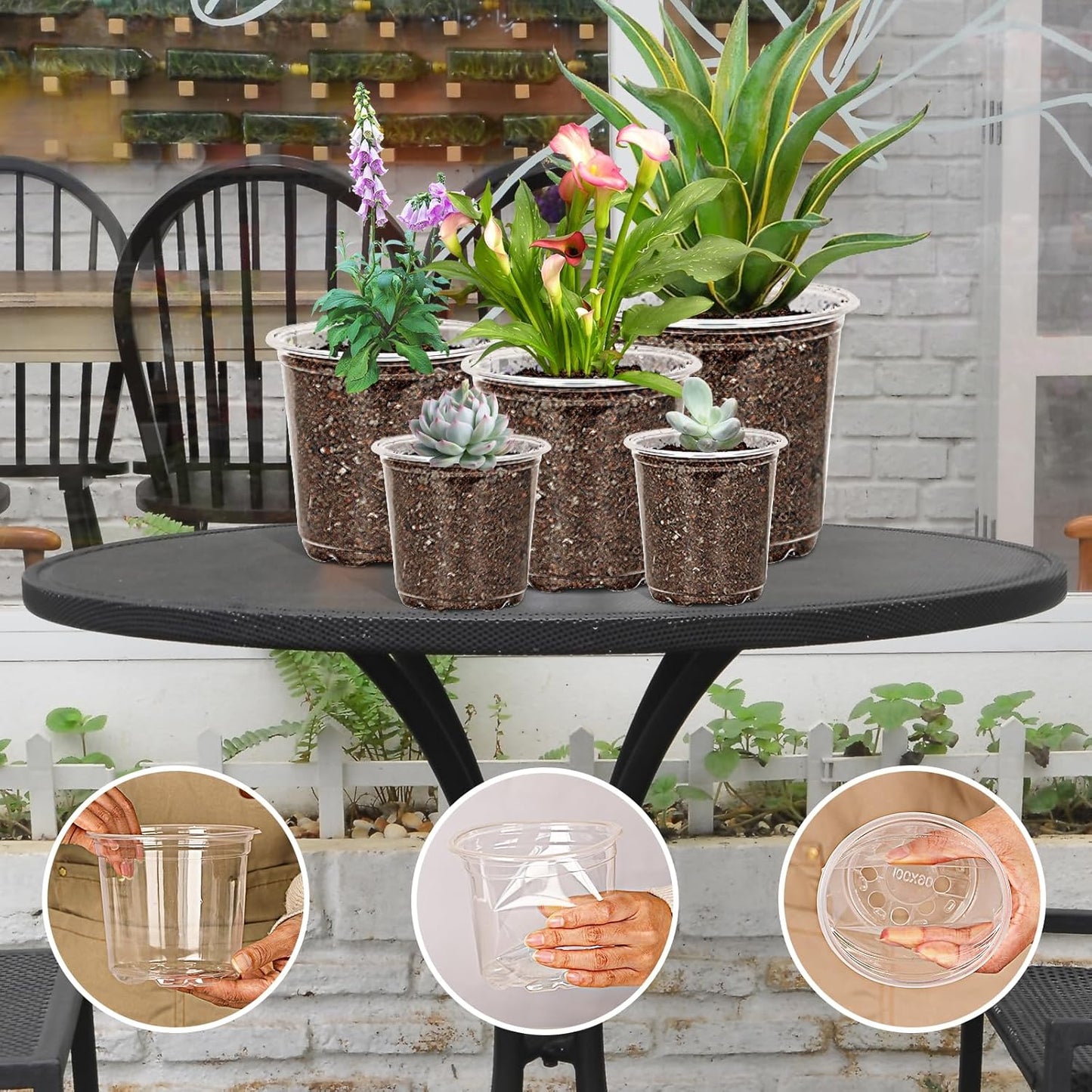 36 Pack3.5/4/5Inch Clear Nursery Pots with Drainage Hole,Variety Sizes Seed Starting Pots Transparent Plastic Plant Pots for Plants Transparency with 20 Plant Labels