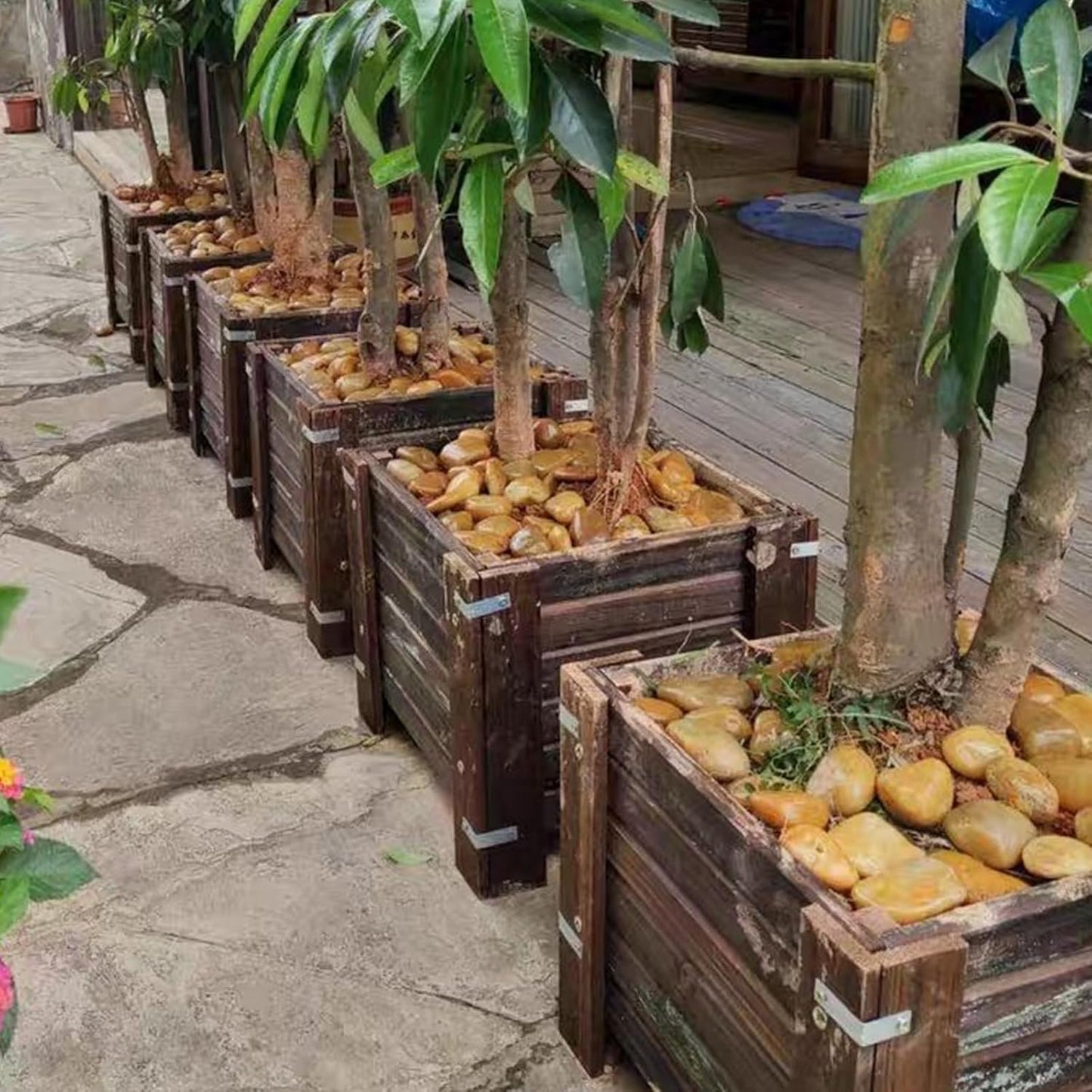 20 lbs Yellow River Rocks for Garden, 2-3 Inch Polished Pebbles for Indoor Plants, Decorative Rocks Stones for Landscaping, Plants, Vases, Aquariums, Fountains, Pathways and Backyard